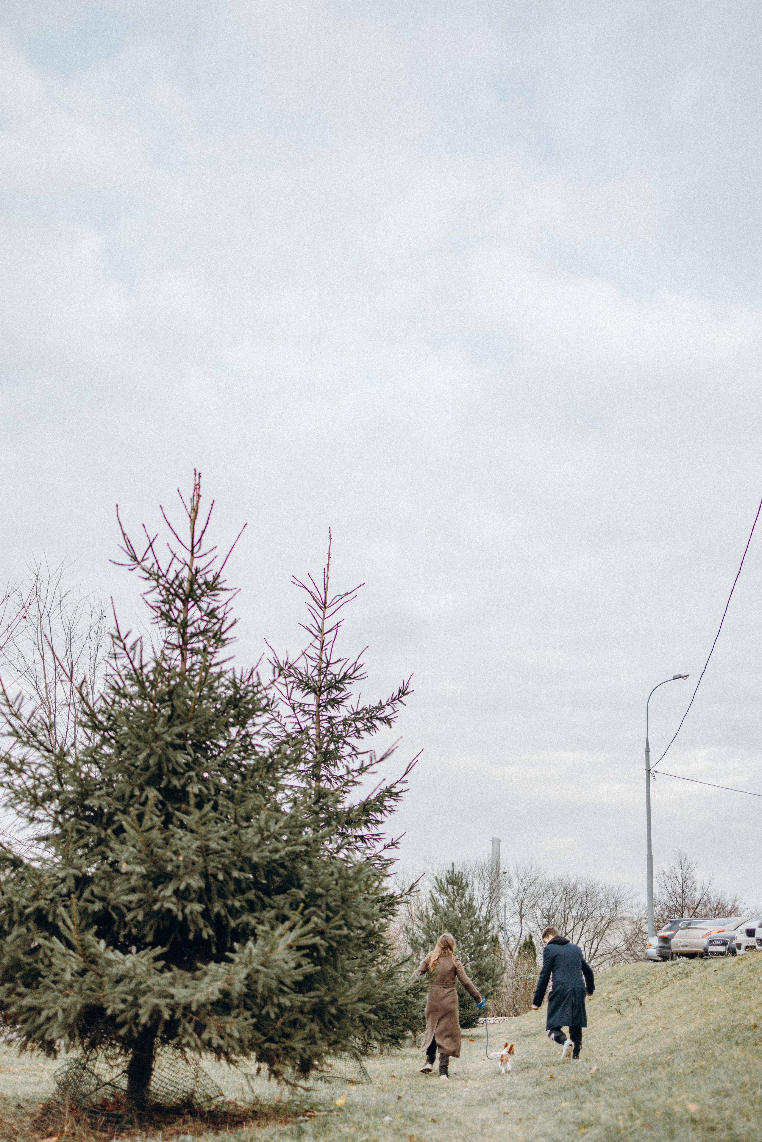 Юля и Кипр. Фотограф-анималист в Москве Лера Черноног