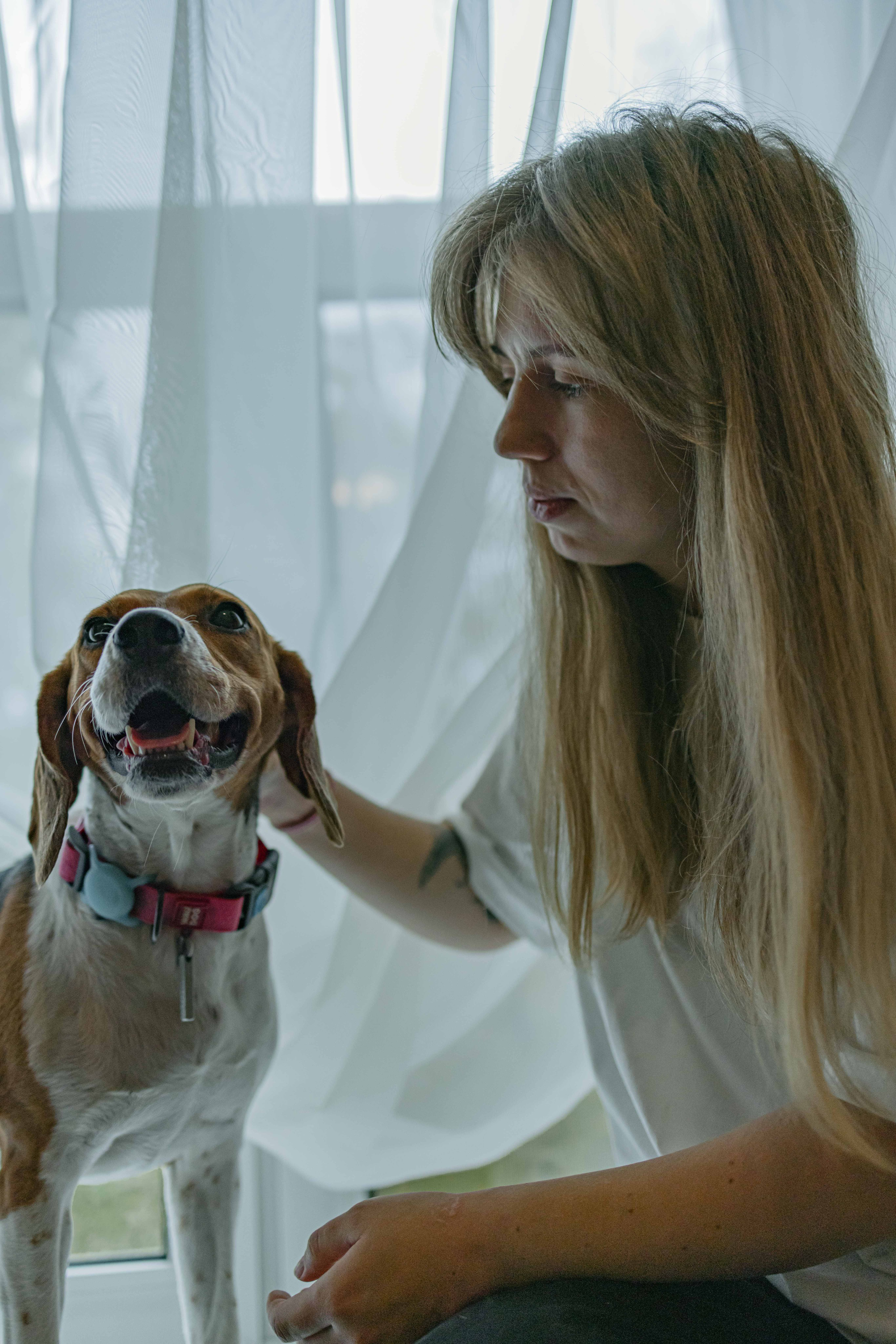 Света и Ива. Фотограф-анималист в Москве Лера Черноног