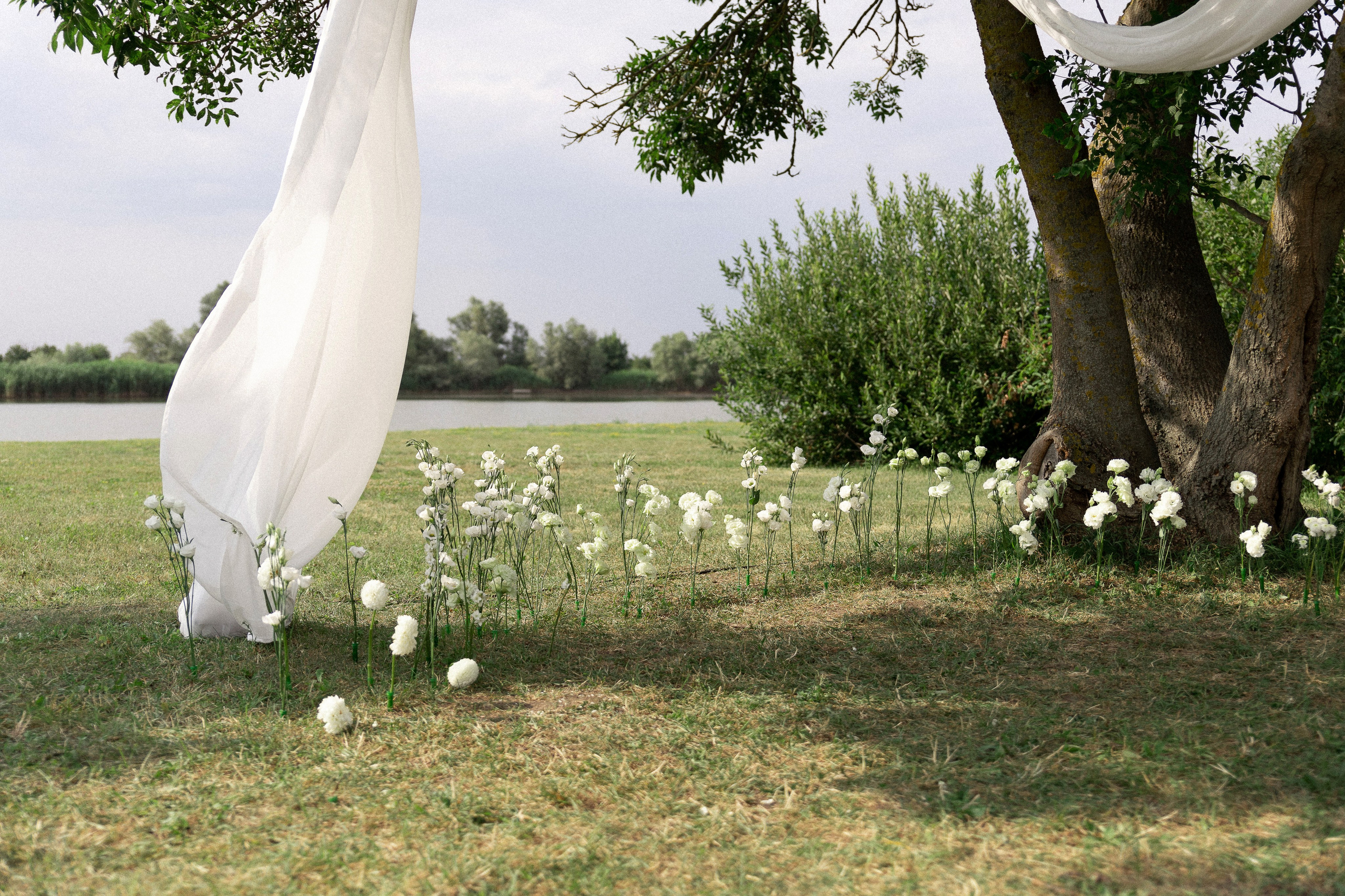 Владислав и Наталья. Свадебный фотограф