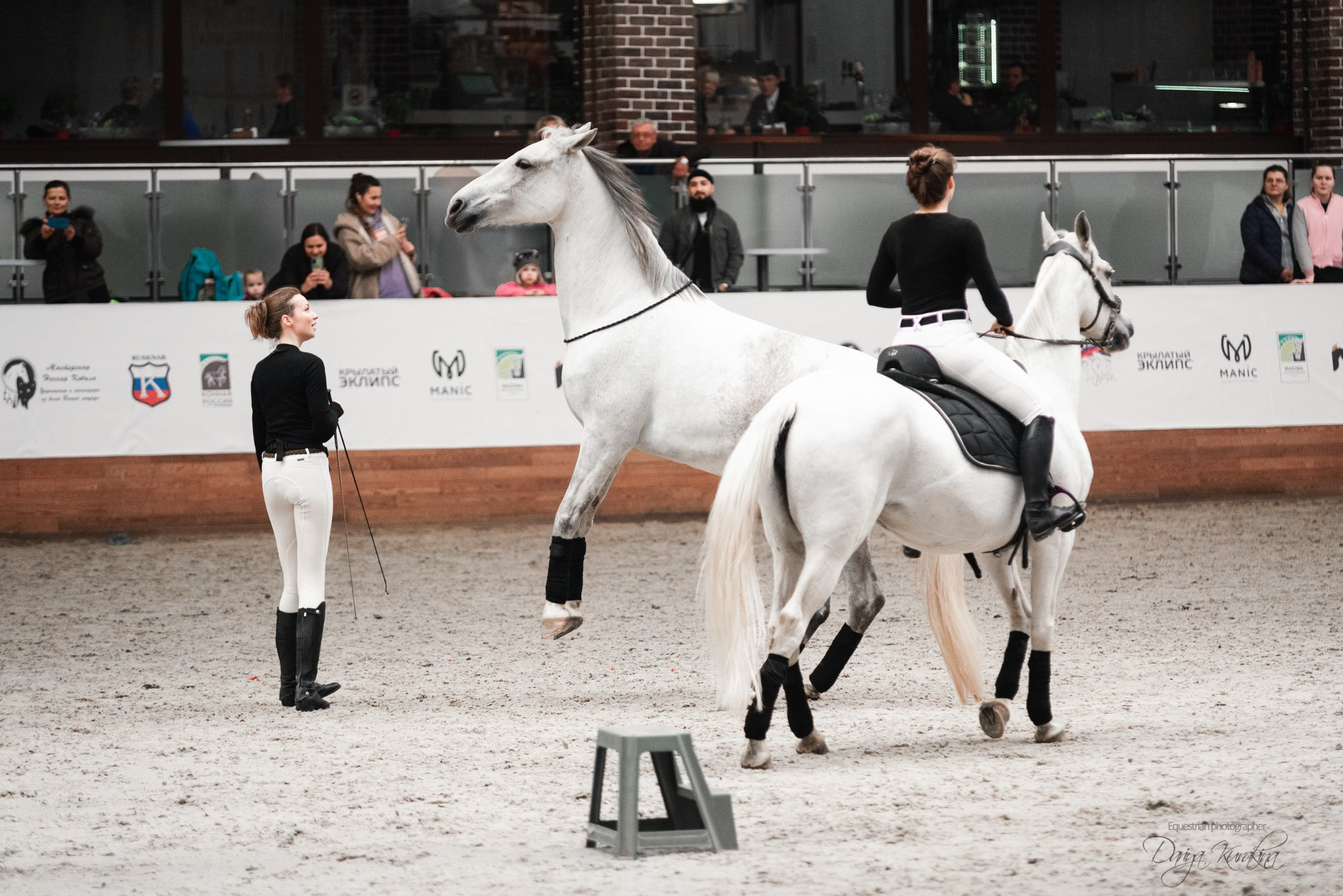 8-я международная выставка Конная Россия. Конный фотограф Куракина Дарья • Фотосессии с лошадьми
