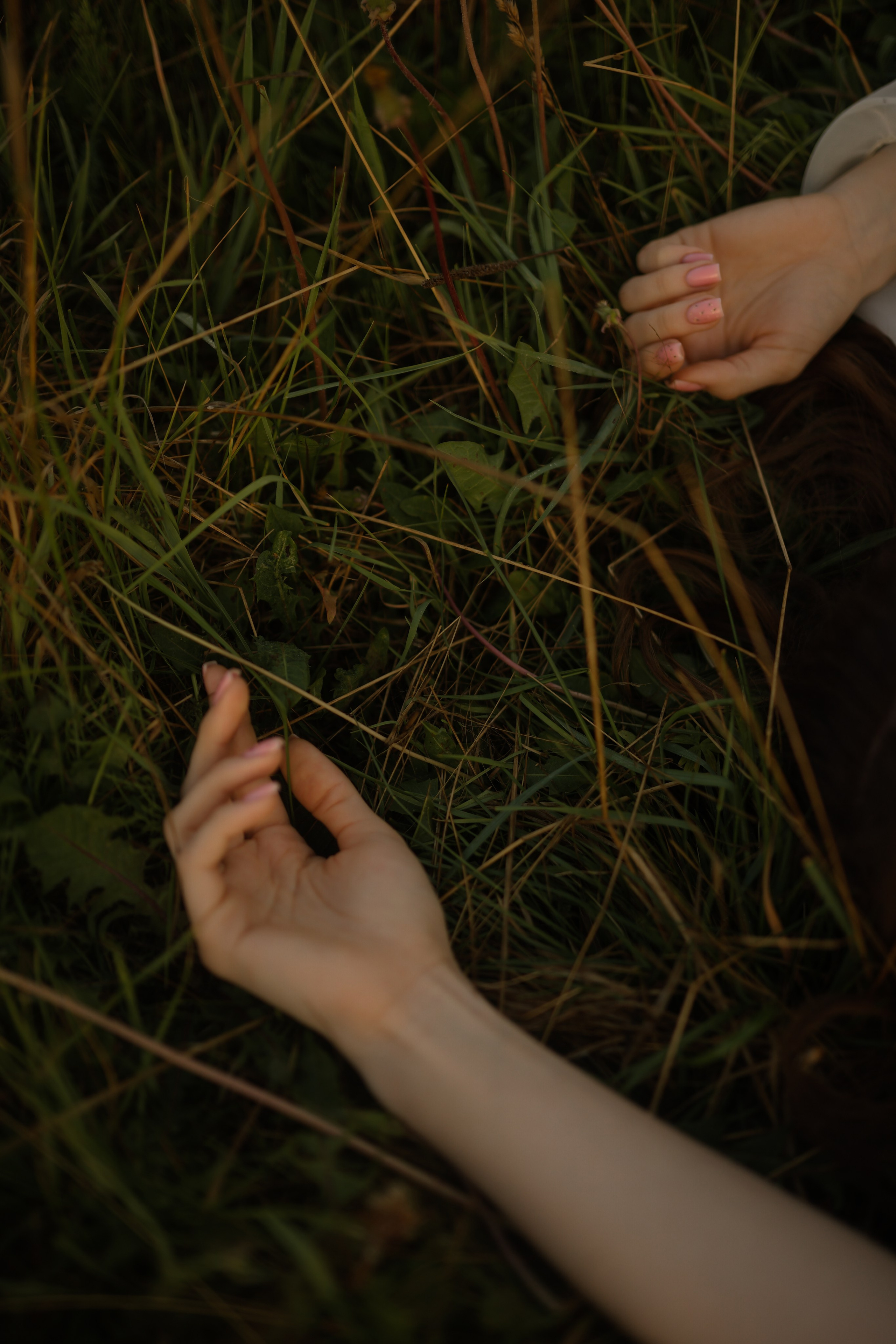 Рано на рассвете