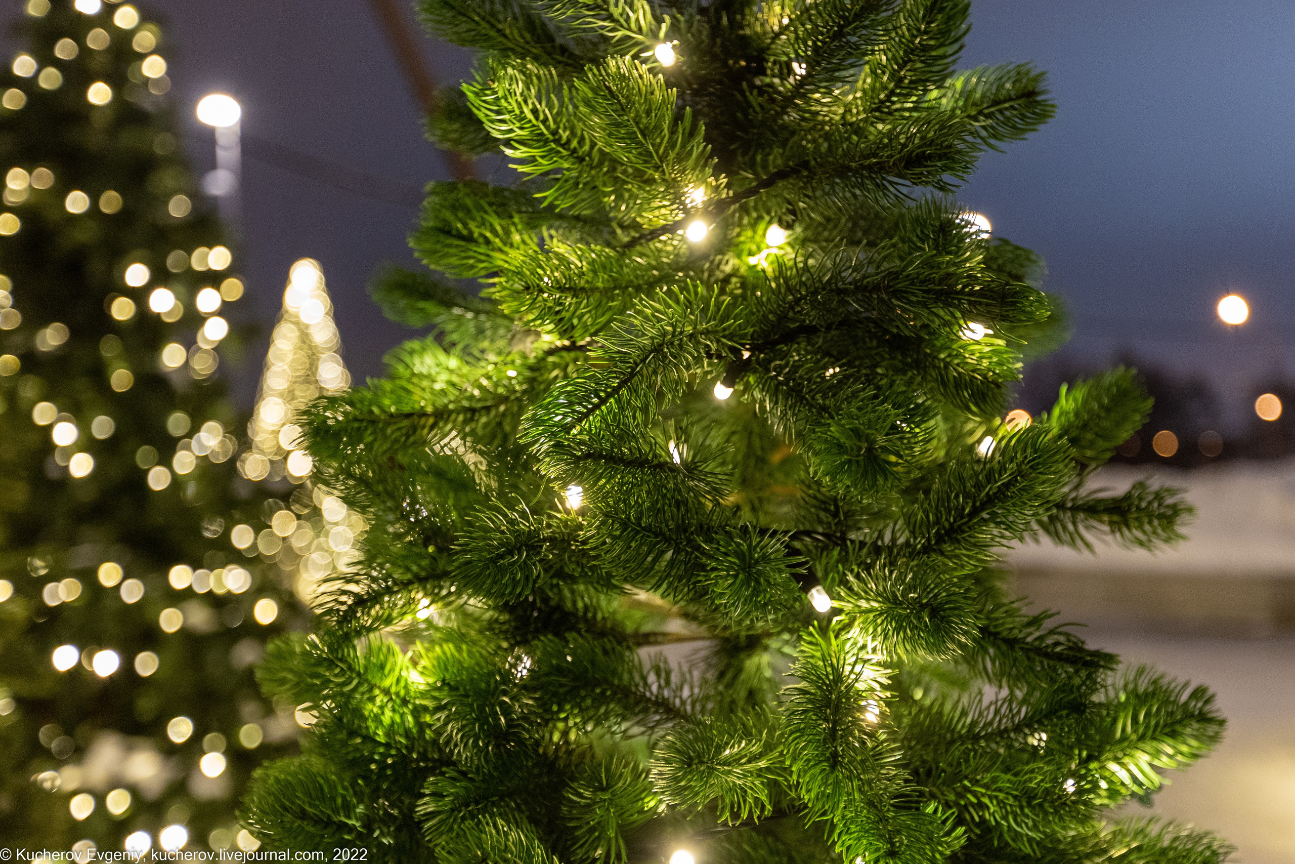 Репортаж. Кучеров Евгений. Фотограф