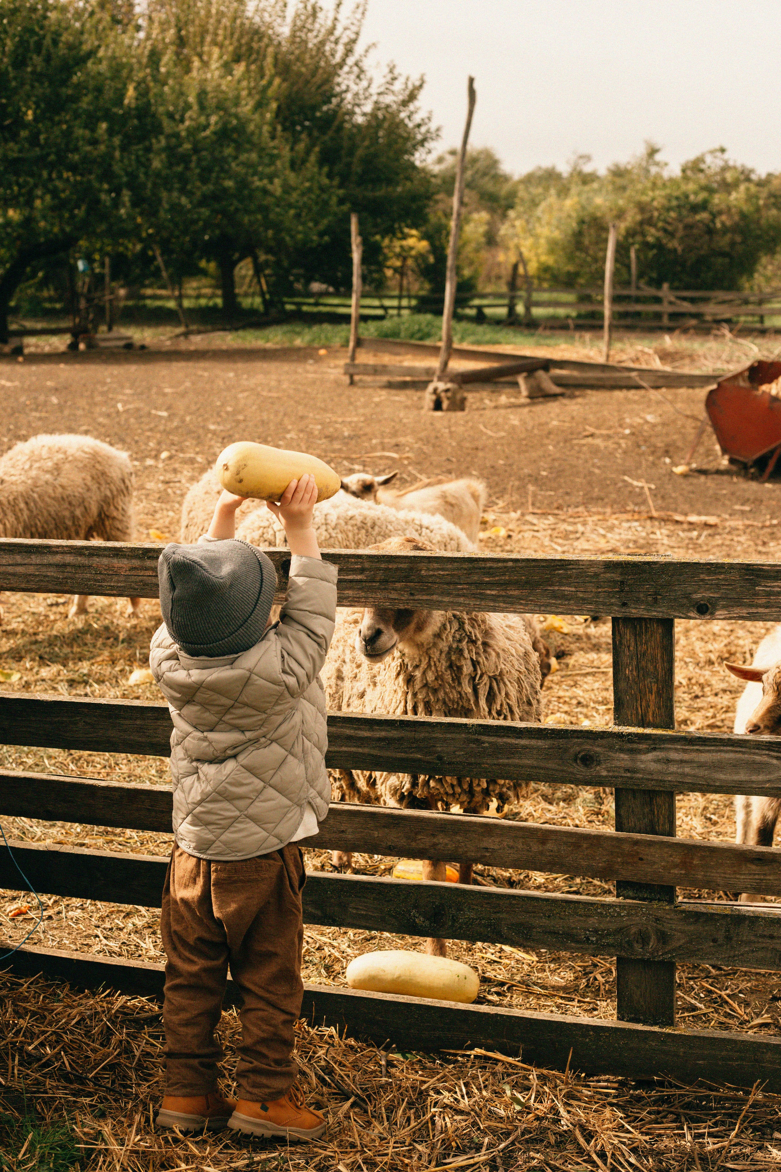 Осень в станице. Егор, Саша и Марк. Фотограф в Ростове-на-Дону и Краснодаре Елизавета Киселёва