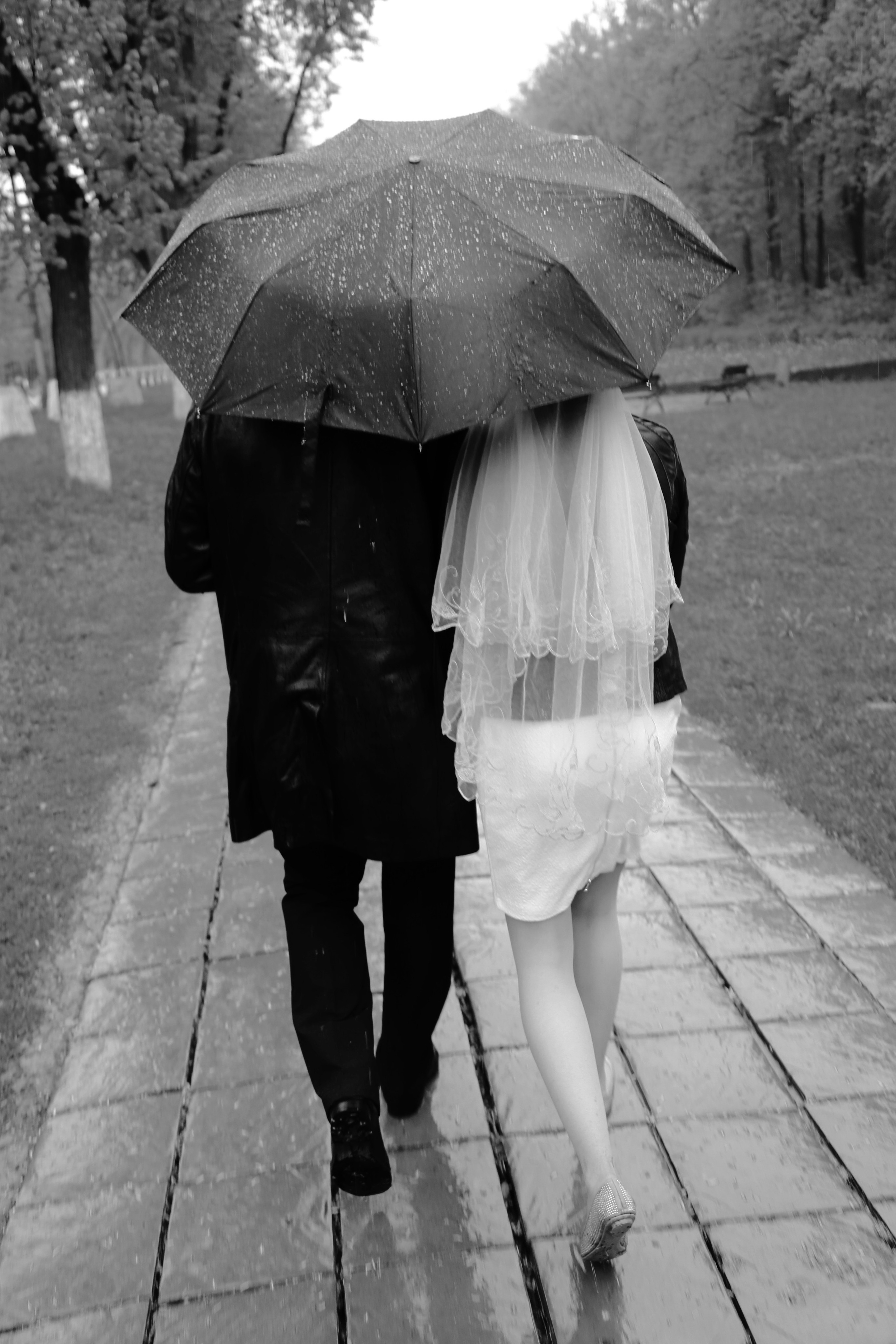 Свадьбы. Фотограф Лагутин Анатолий