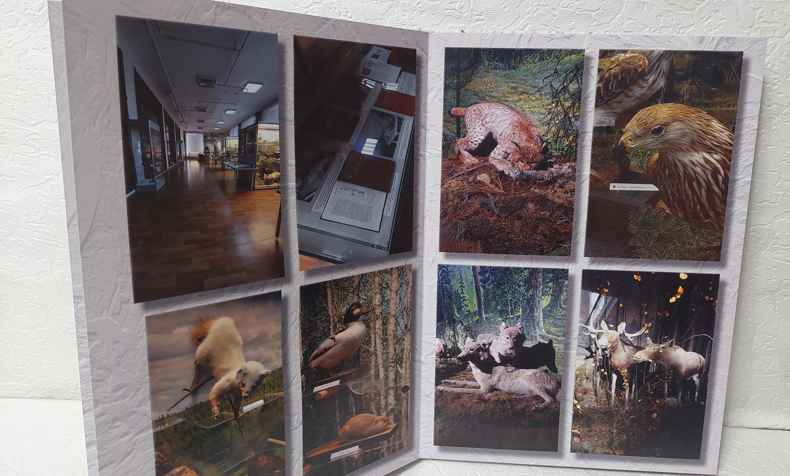 Йошкар-Ола, часть 2. Fotounata.ru