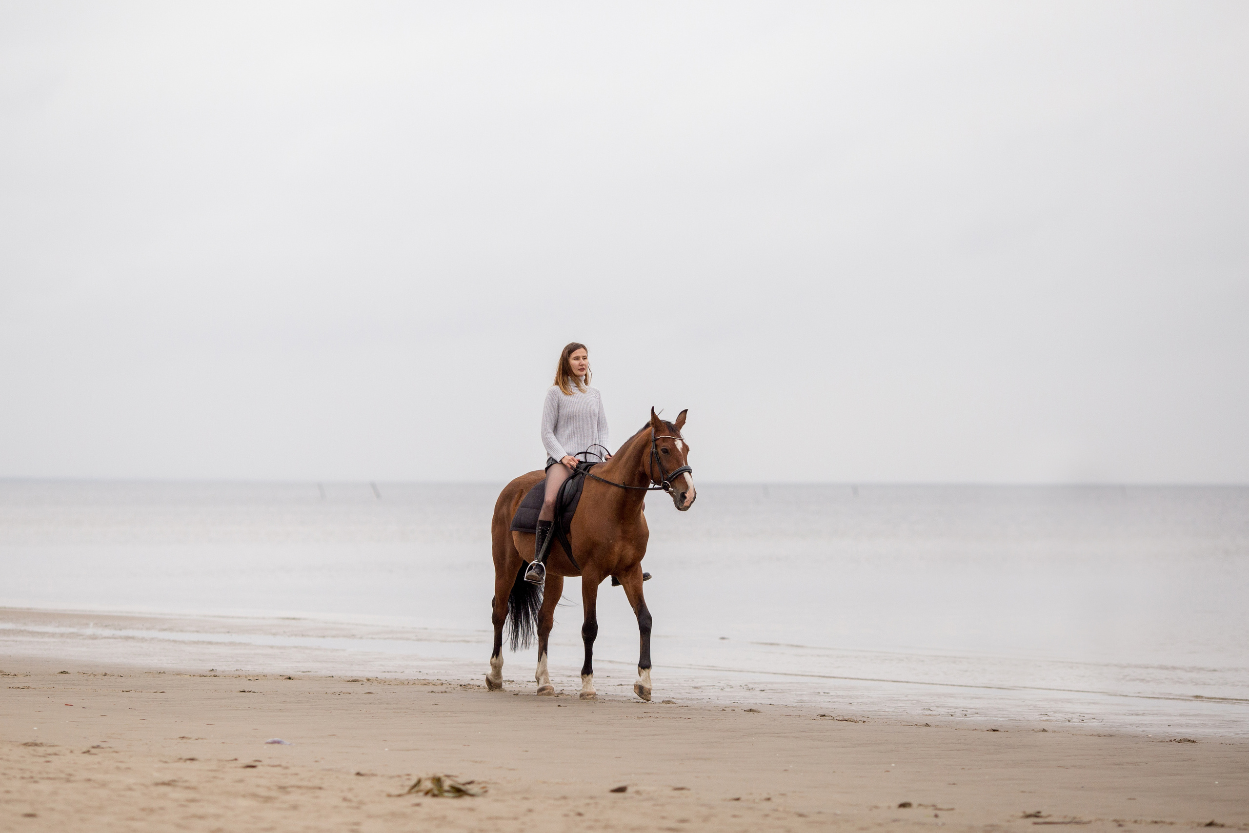 Лошадь и девушка на море