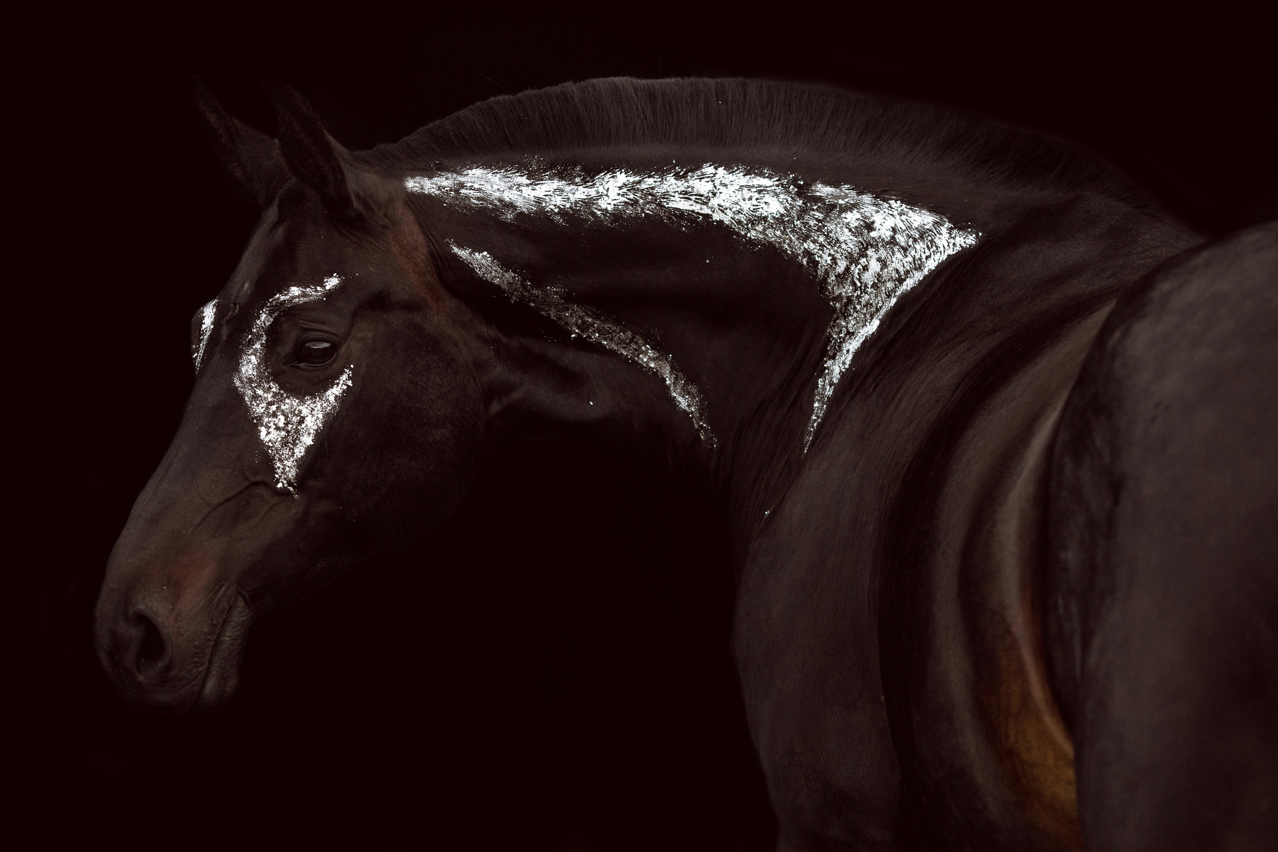 Фото лошади с поталью