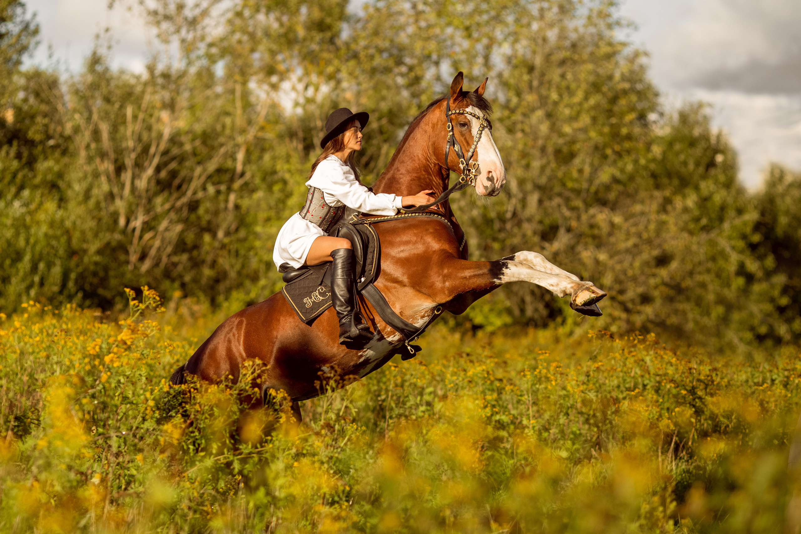 Фотосессия с лошадью в движении