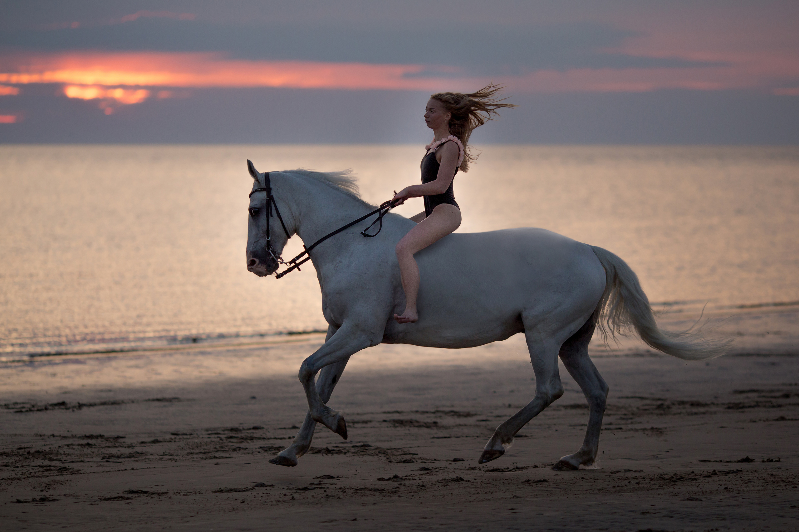 Фотосессия с лошадью на море в купальнике