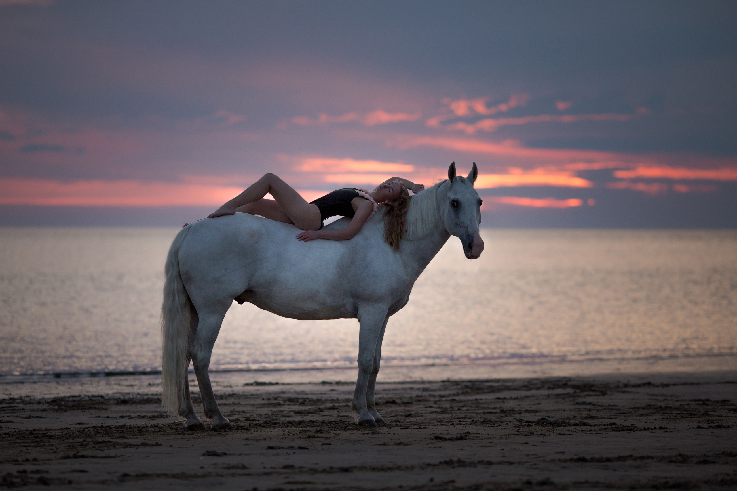 Фотосессия с лошадью на море в купальнике