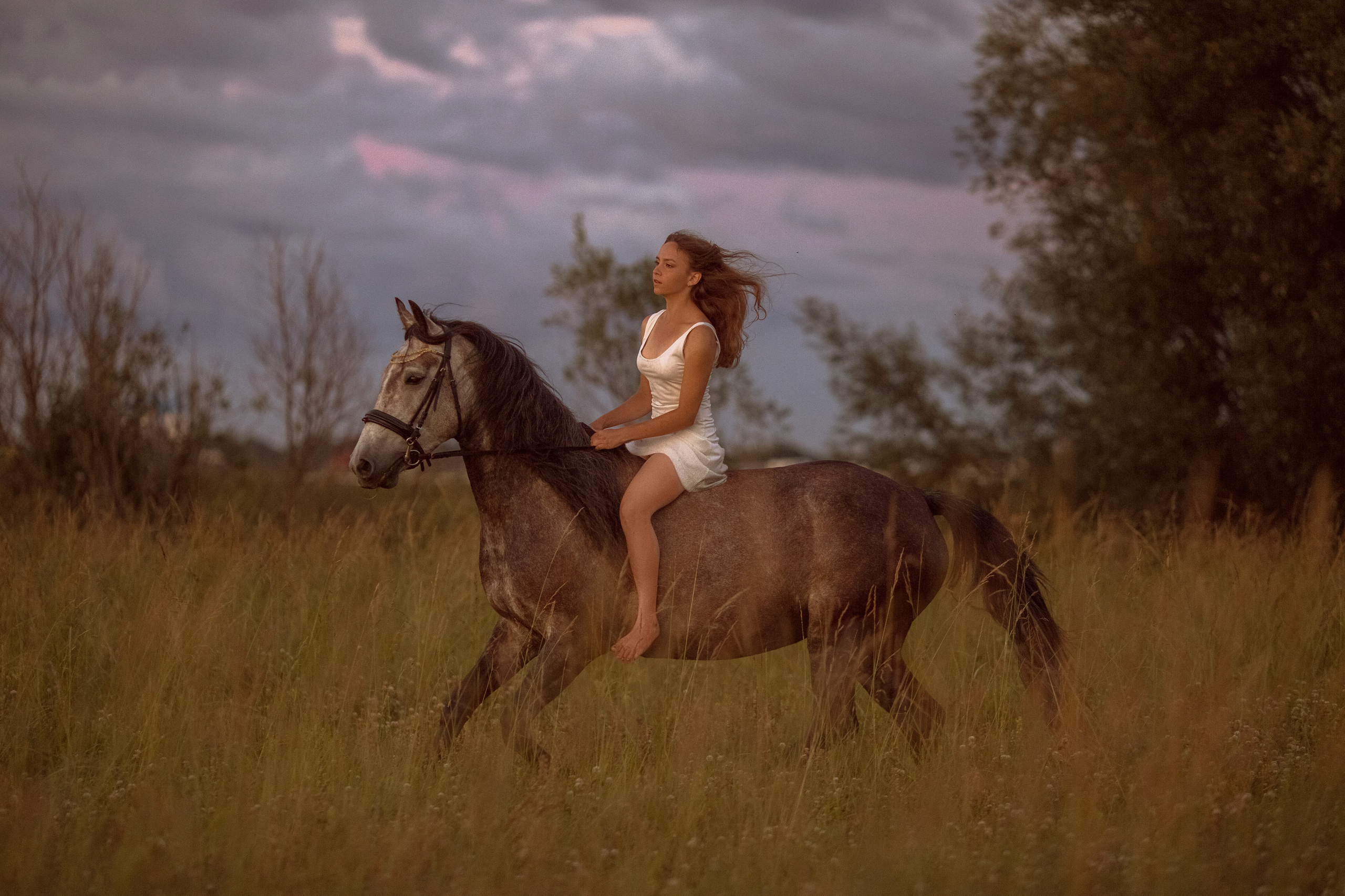Фотосессия с лошадью в поле с цветами