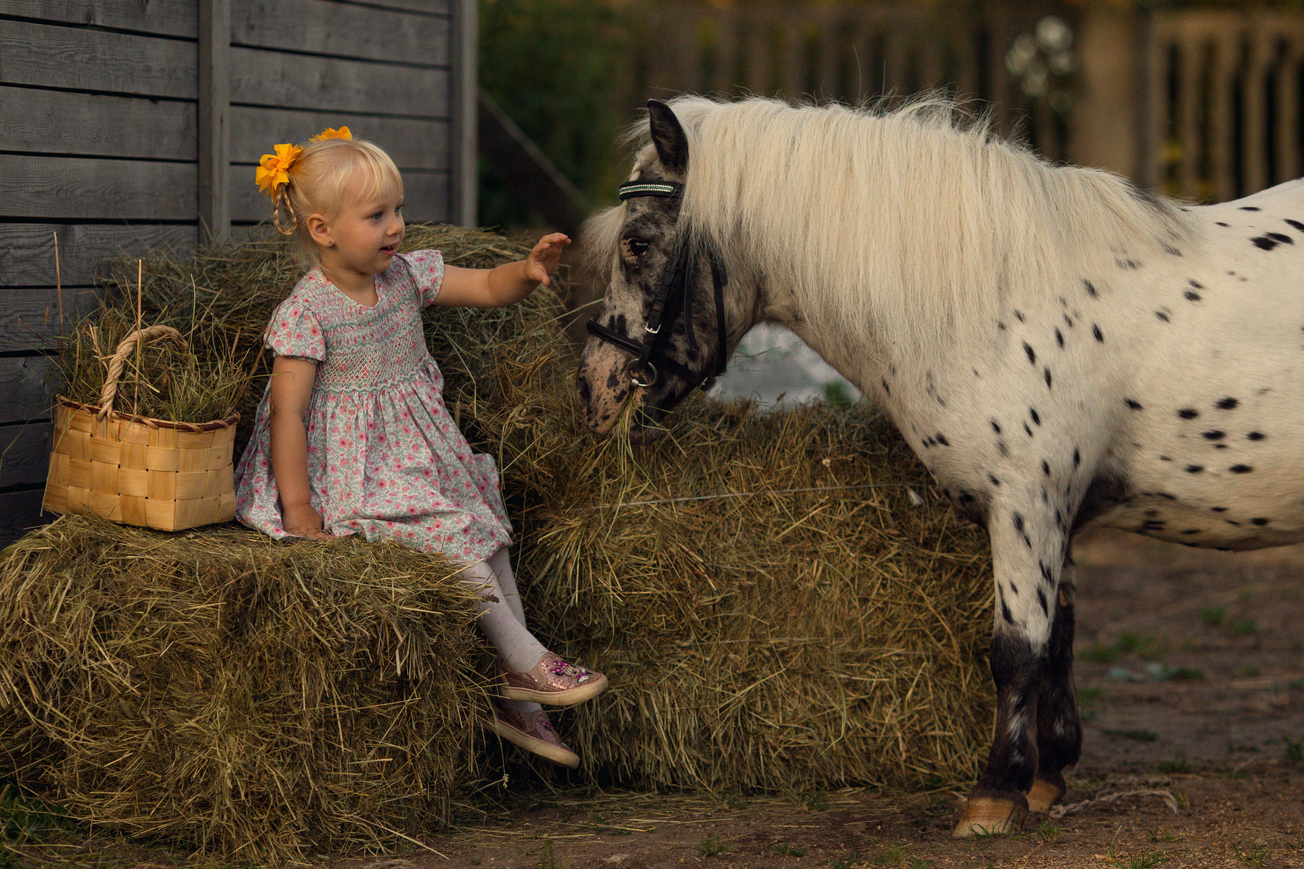 Фотосессия для ребенка 3 лет с пони