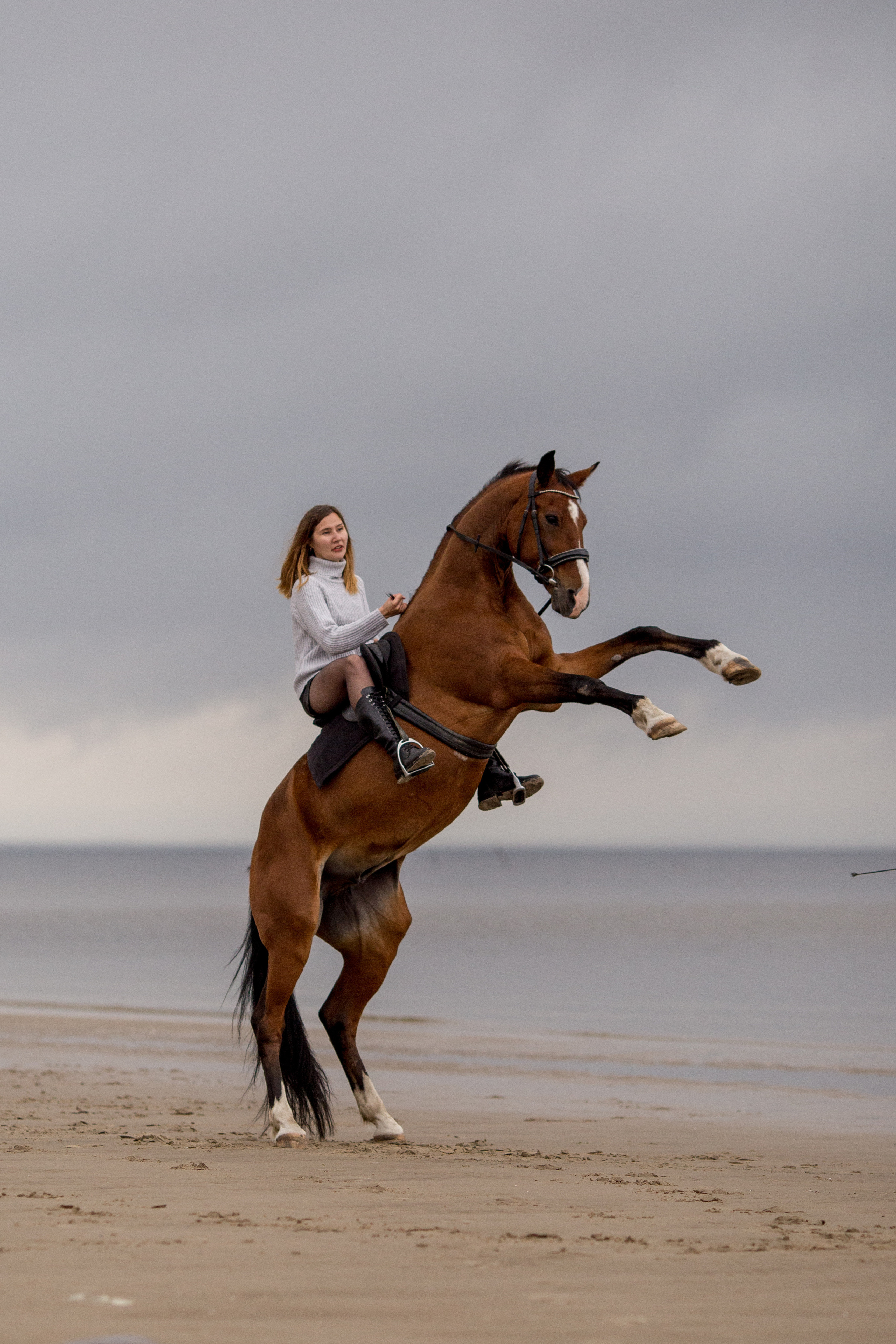 Лошадь и девушка на море