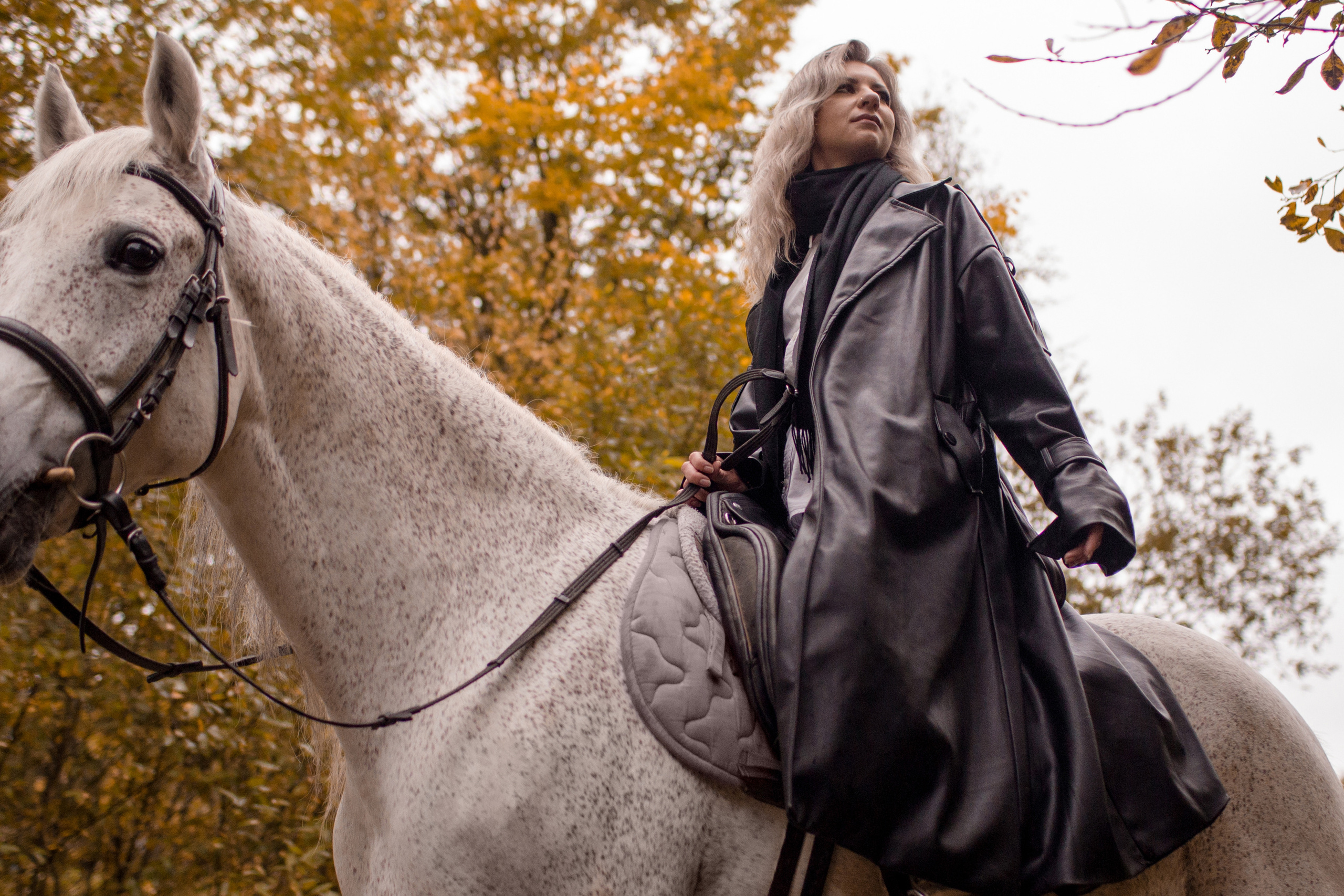 Фотосессия осень с лошадью в парке