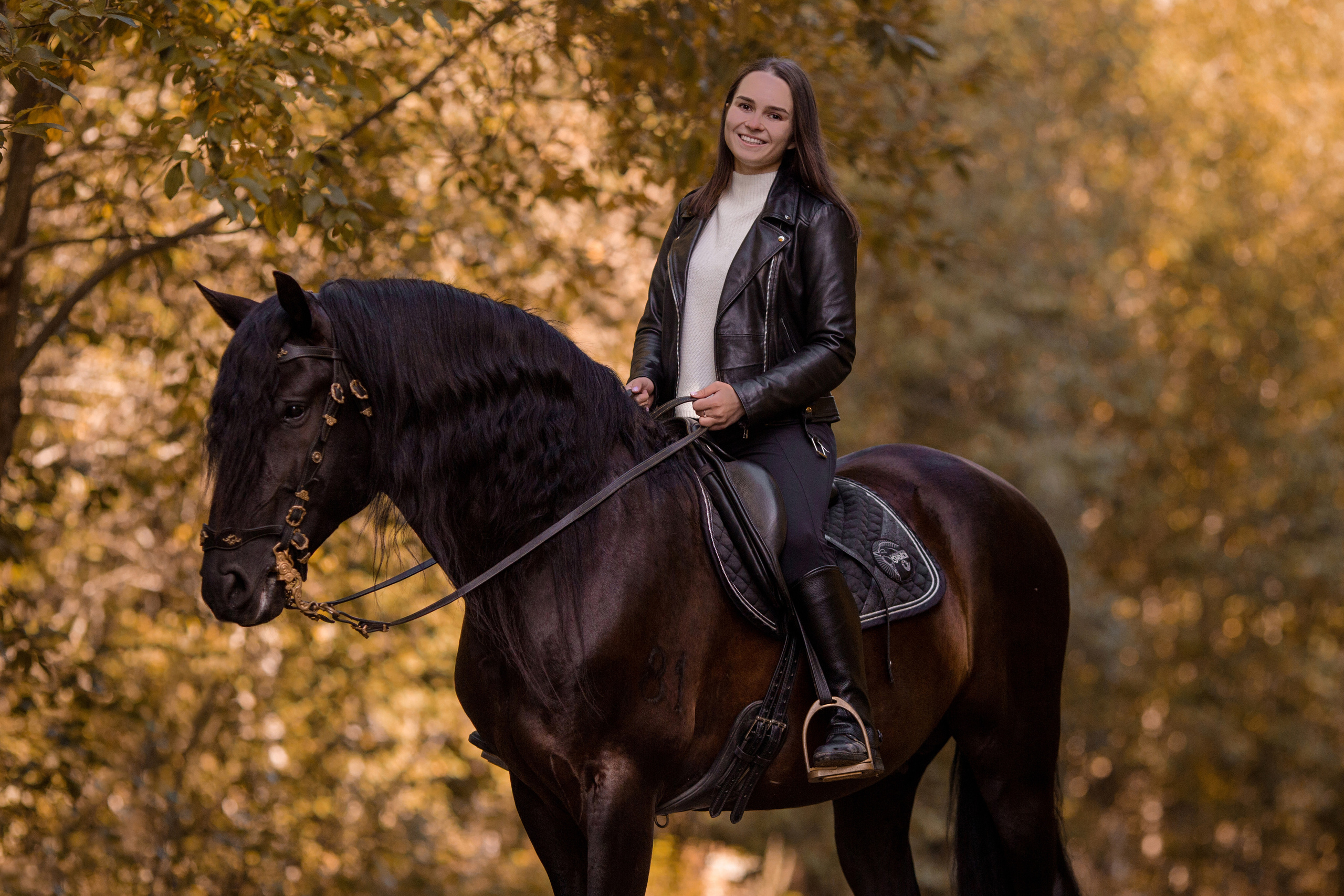 Фотосессия с андалузом осенью