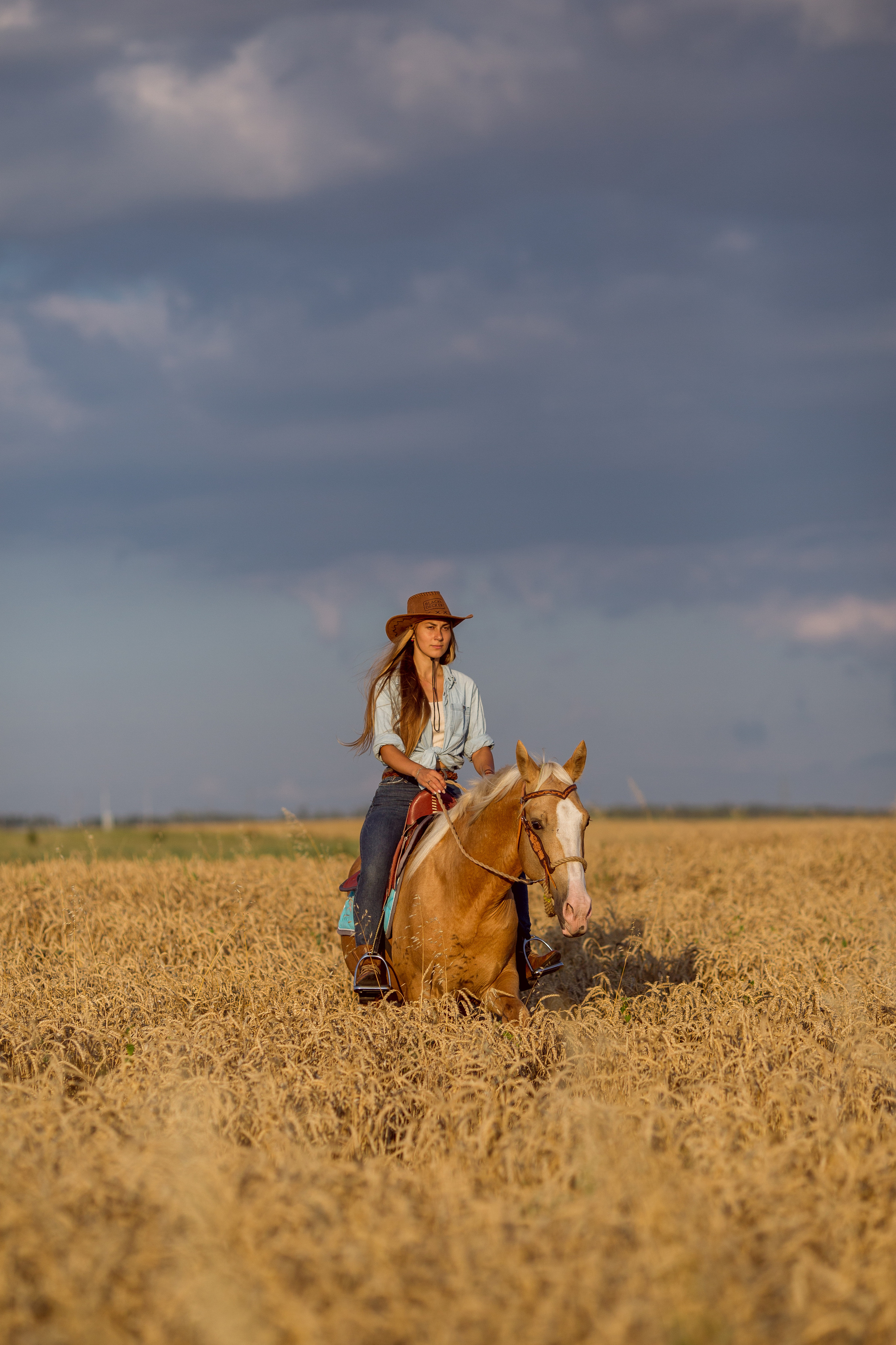 Фотосессия с лошадью на закате