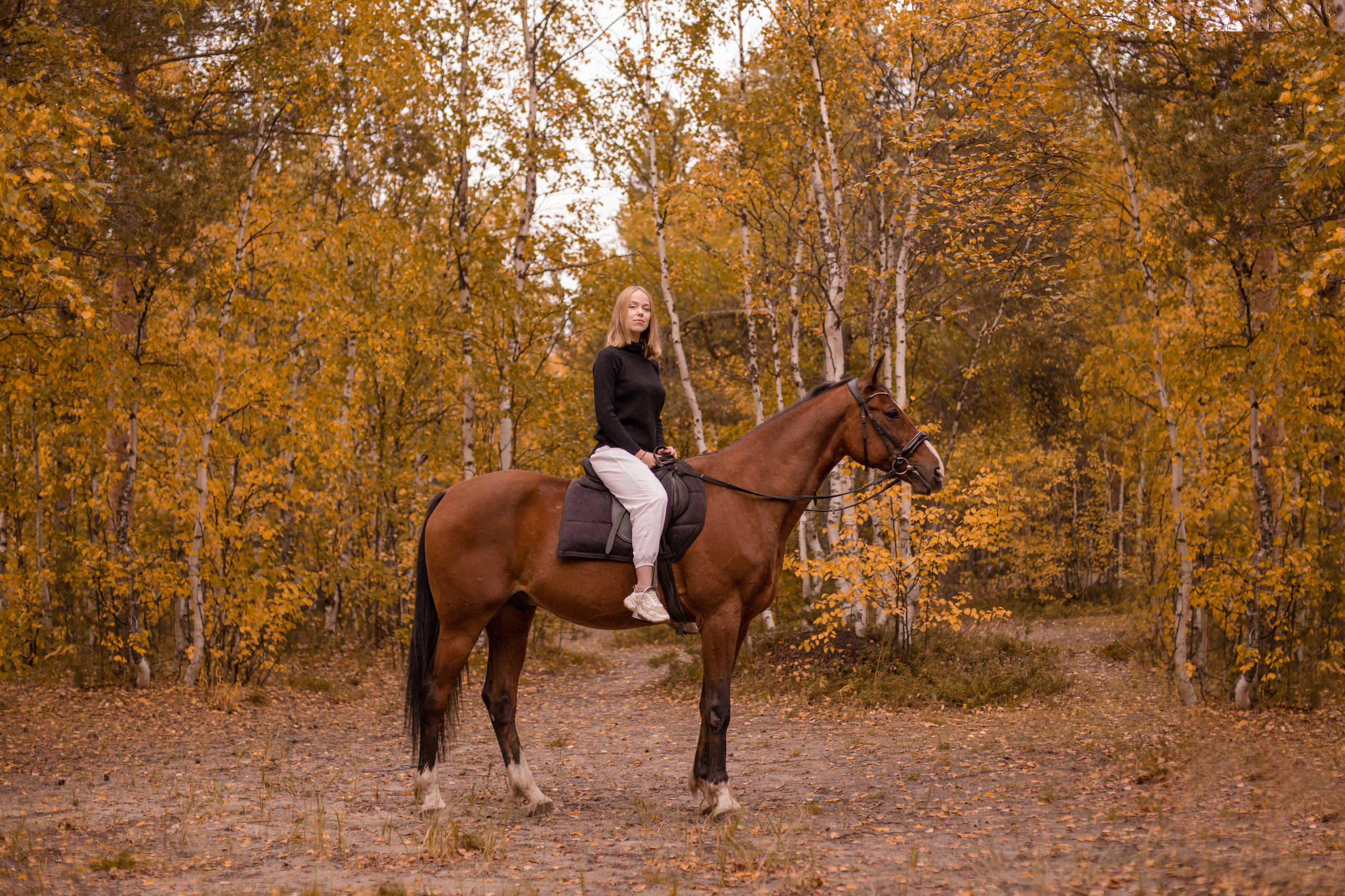 Фотосессия на море с трюковой лошадью