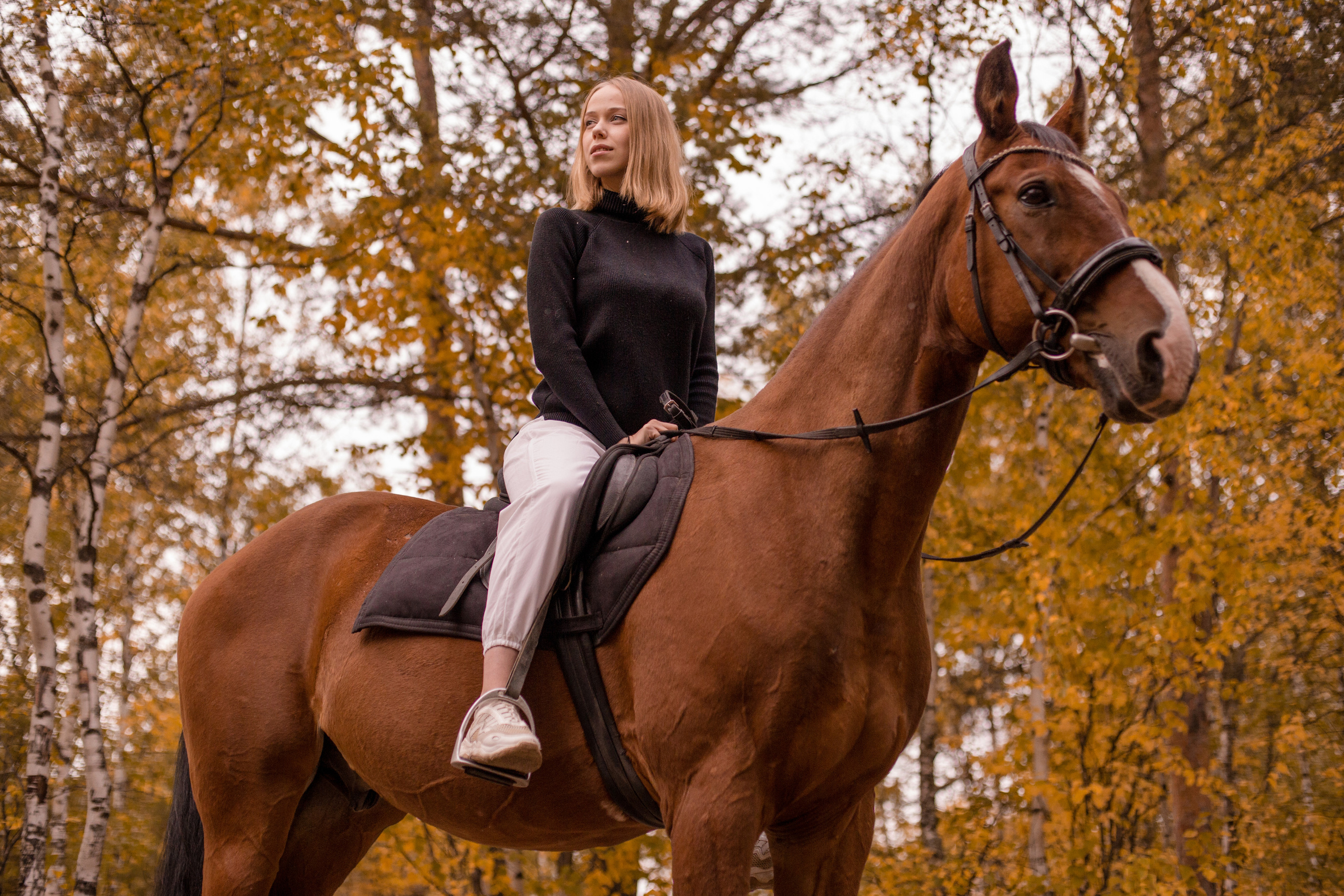 Фотосессия на море с трюковой лошадью