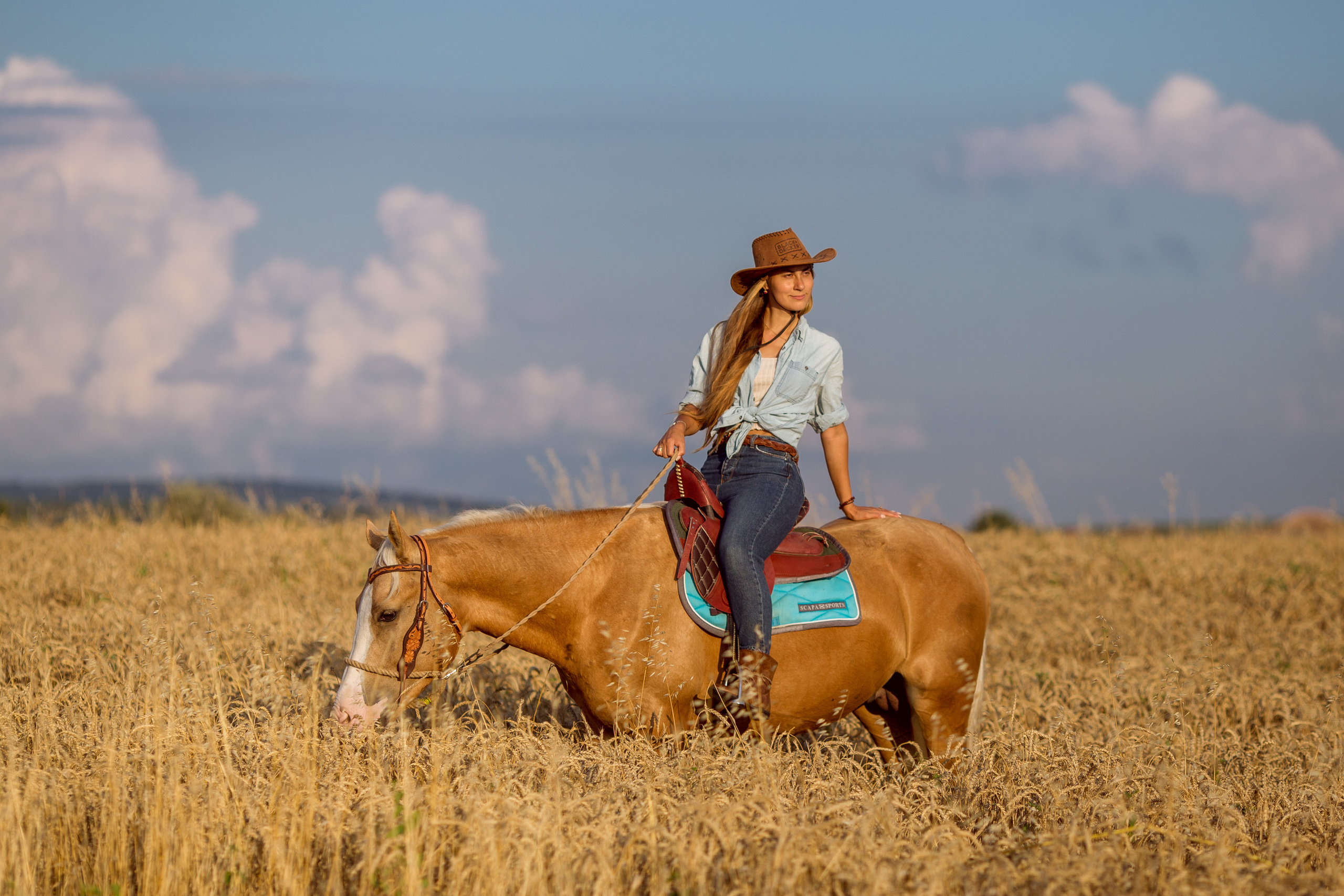 Фотосессия с лошадью на закате