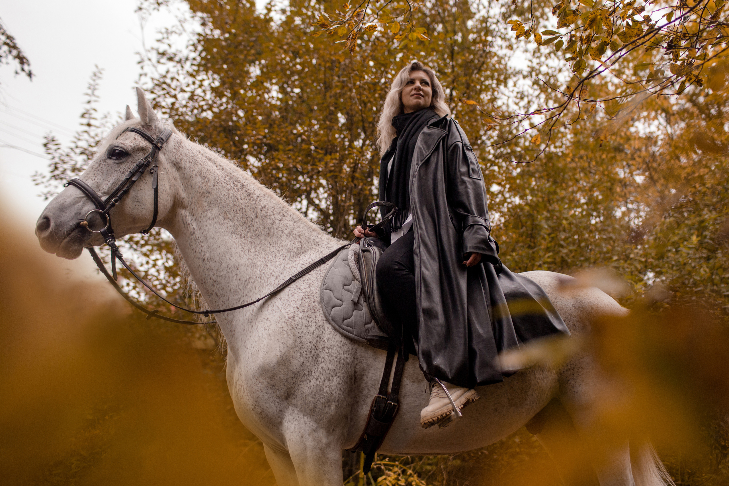 Фотосессия осень с лошадью в парке