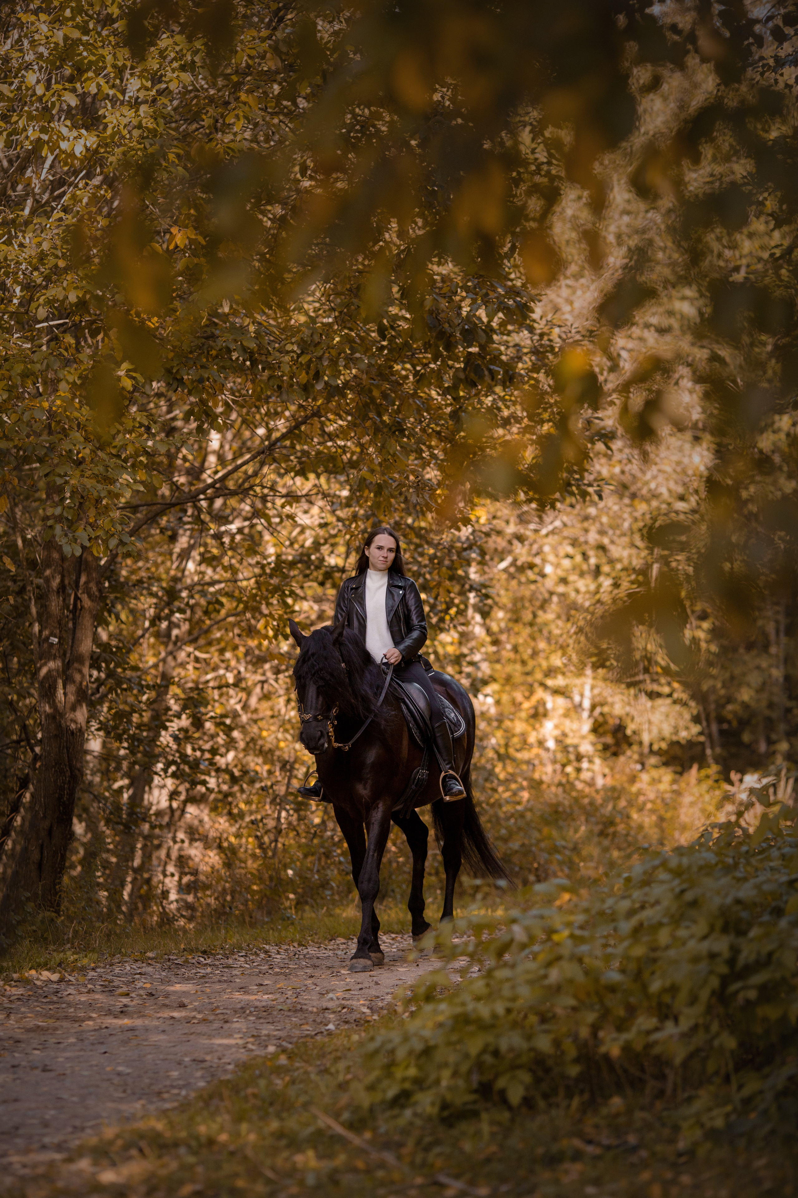 Фотосессия с андалузом осенью