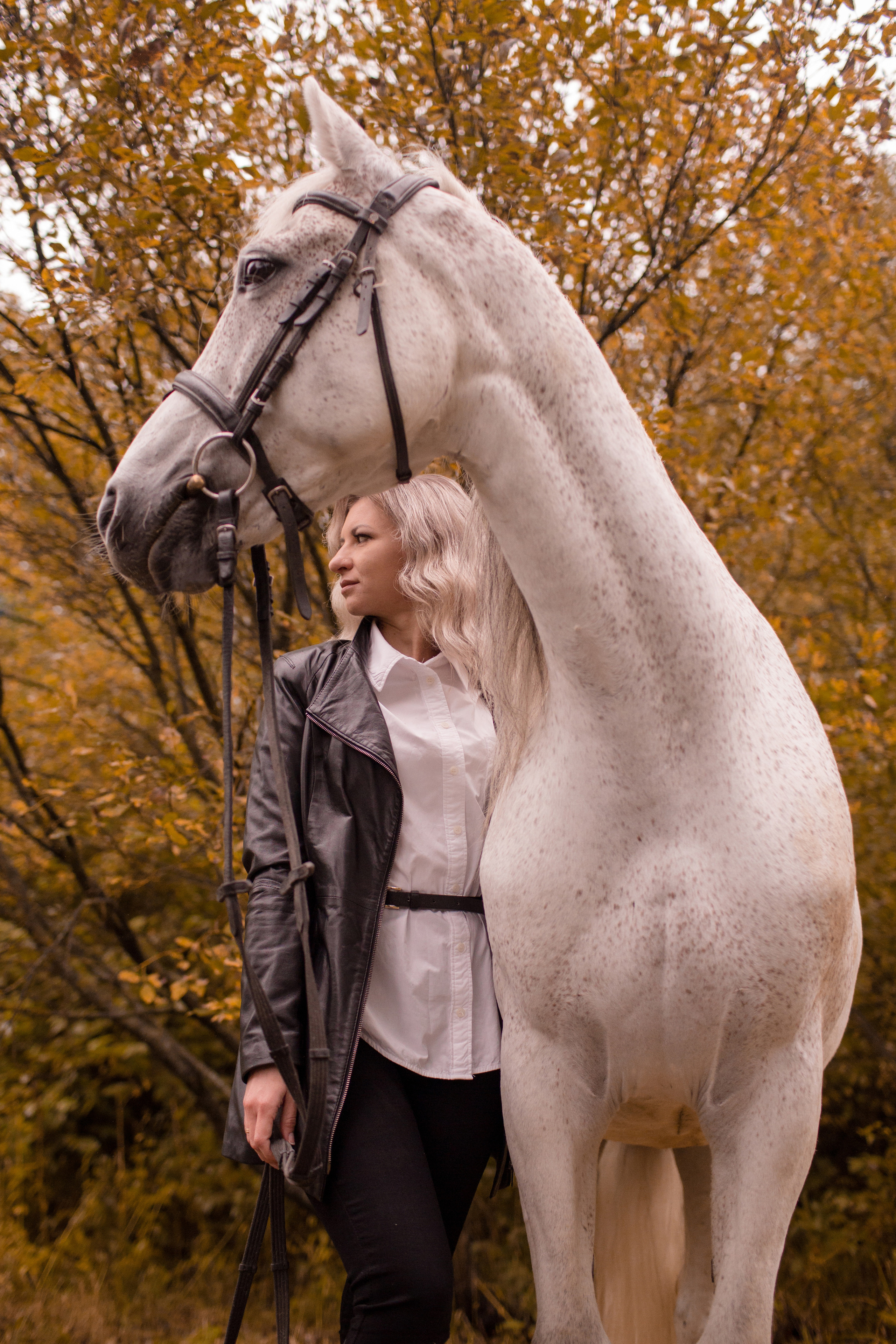 Фотосессия осень с лошадью в парке