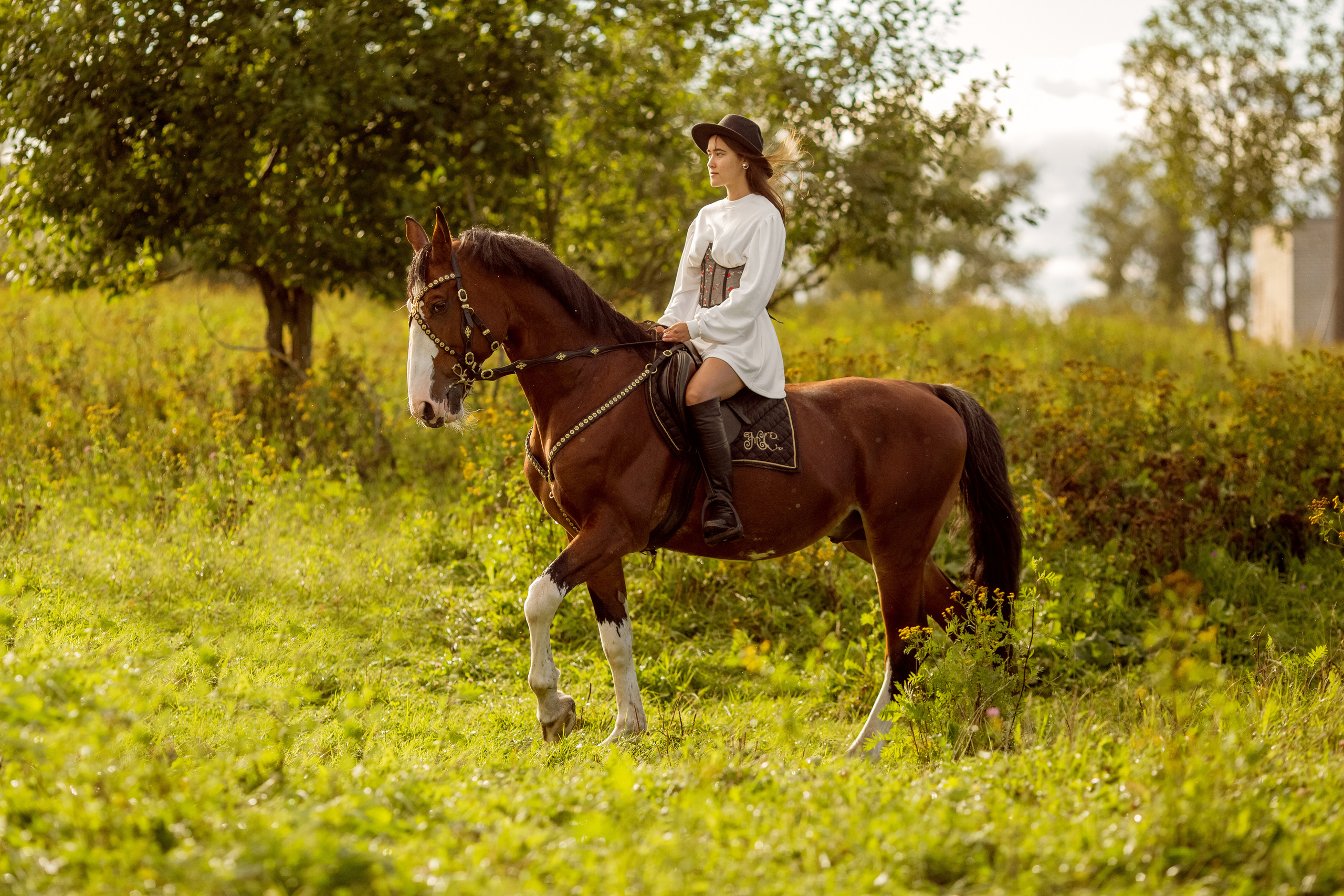 Фотосессия с лошадью в движении