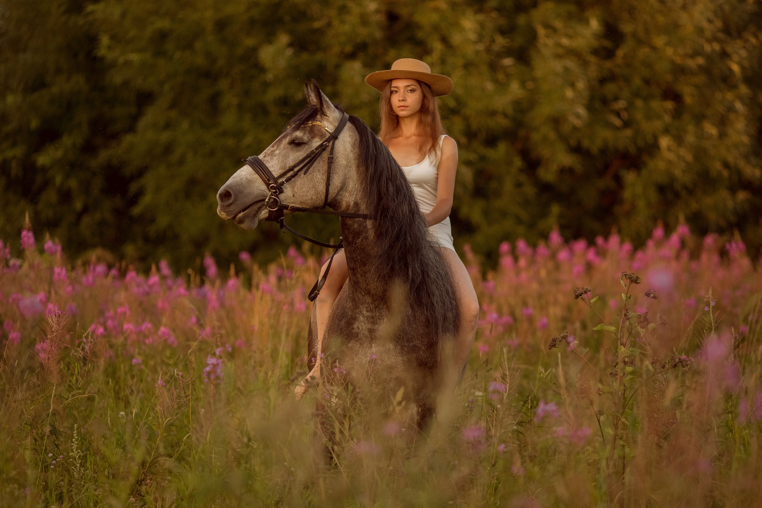 Фотосессия с лошадью в поле с цветами
