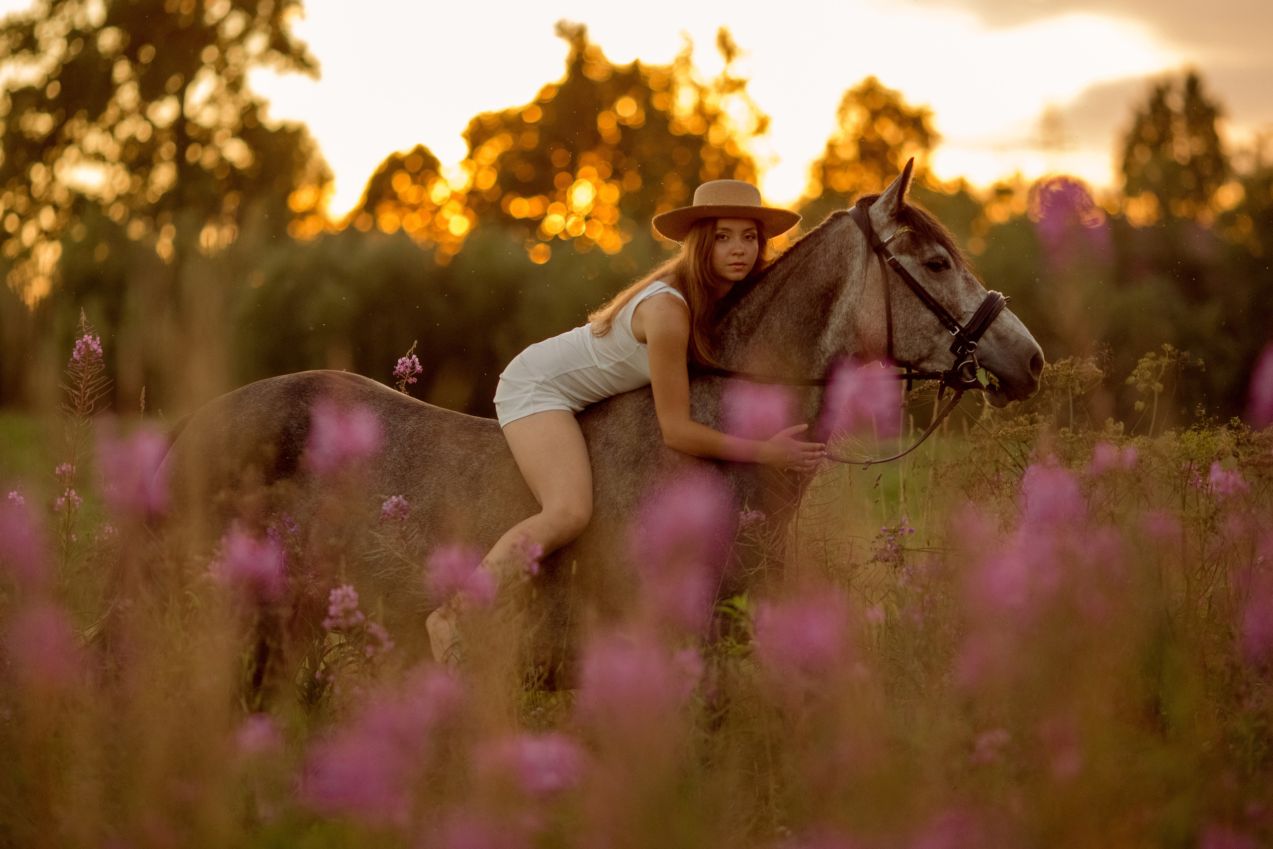 Фотосессия с лошадью в поле с цветами