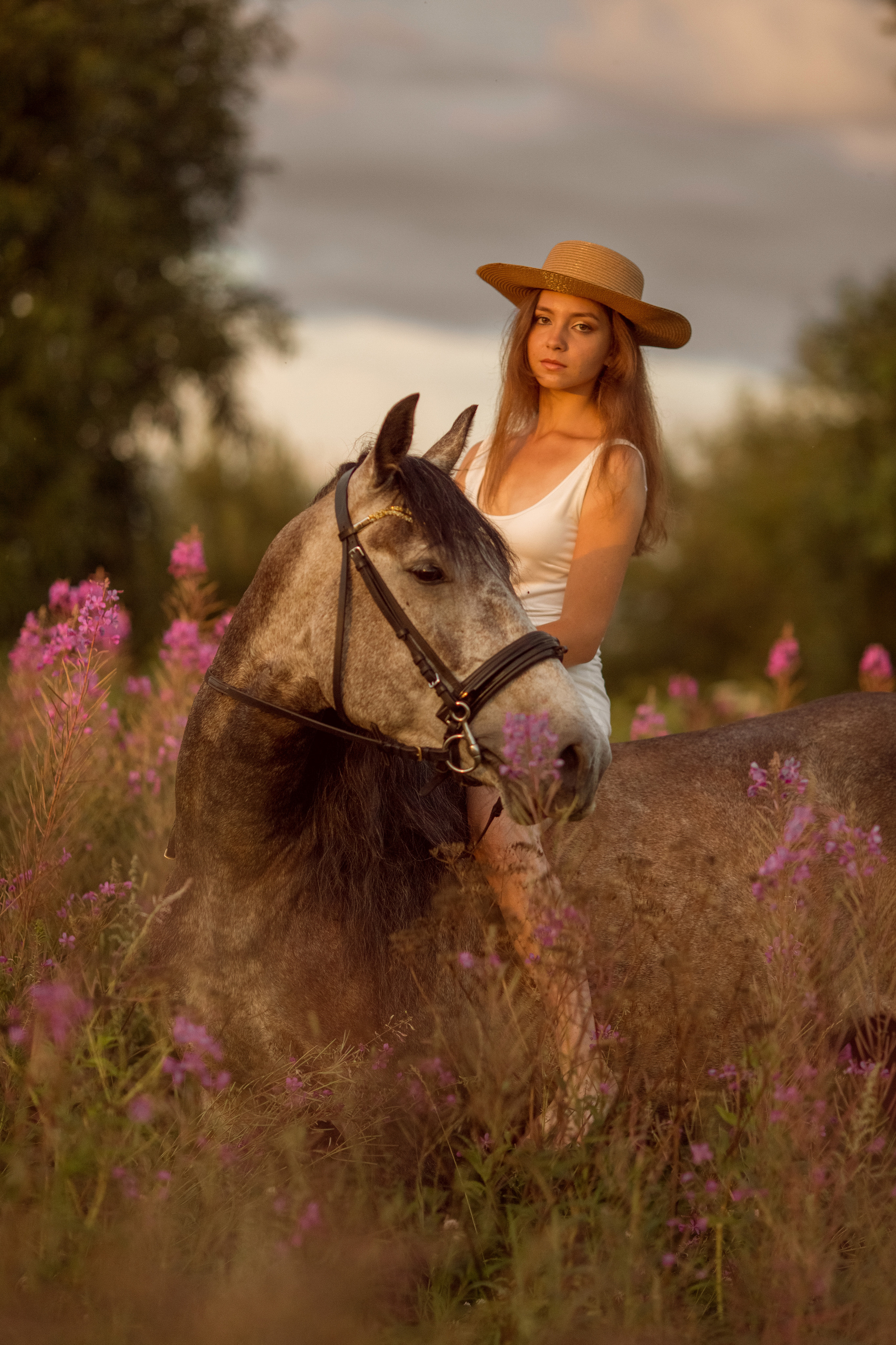 Фотосессия с лошадью в поле с цветами