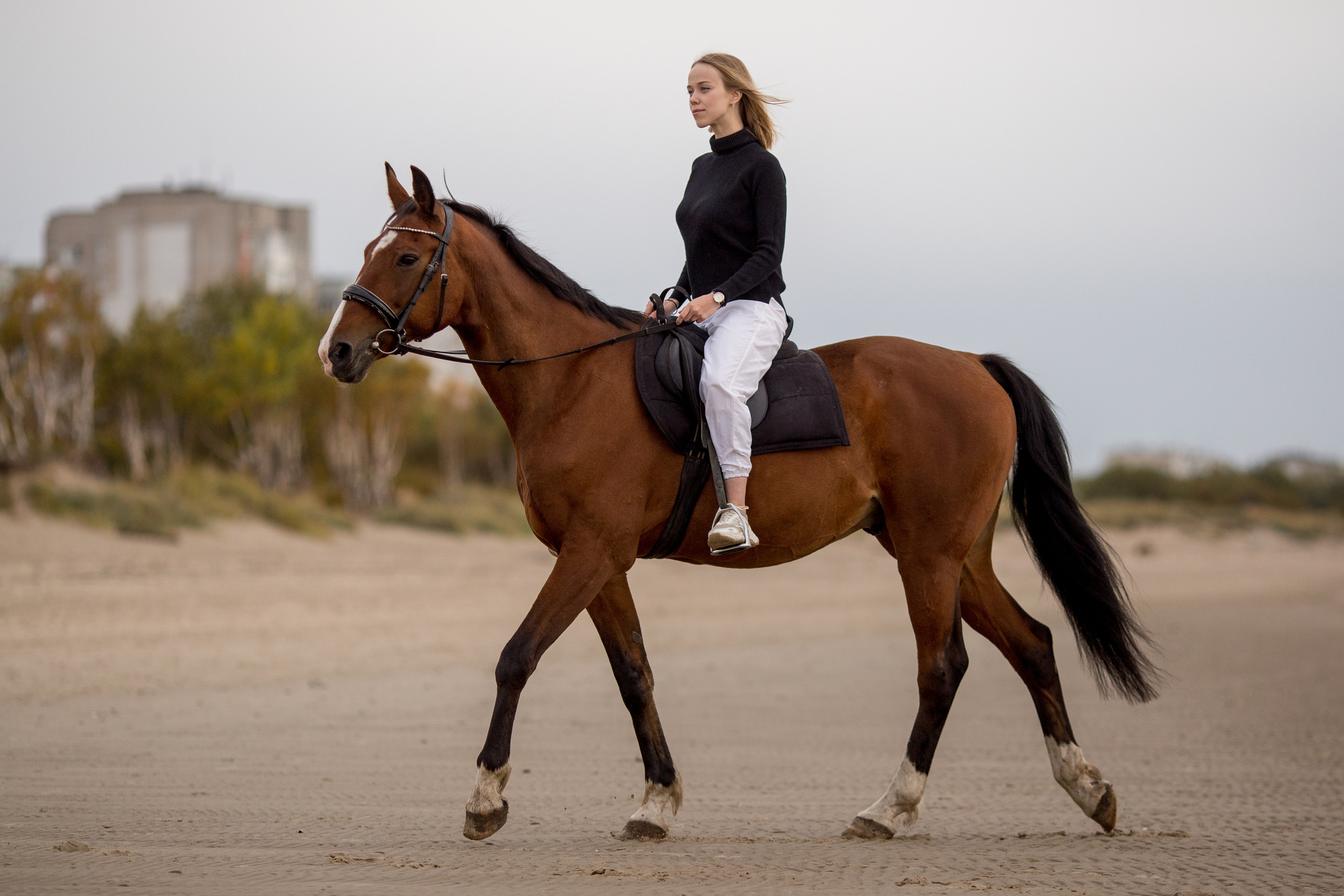 Фотосессия на море с трюковой лошадью