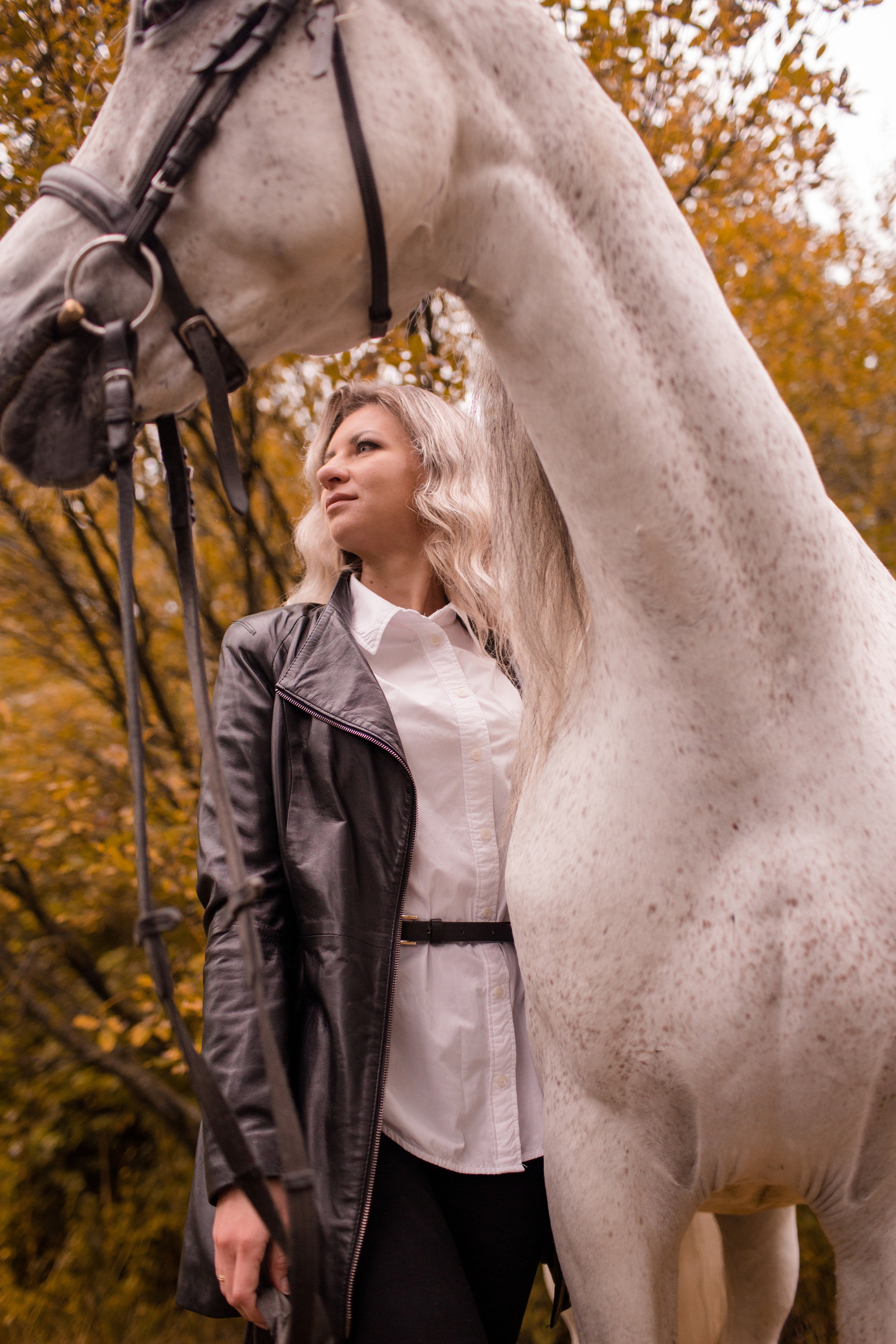 Фотосессия осень с лошадью в парке