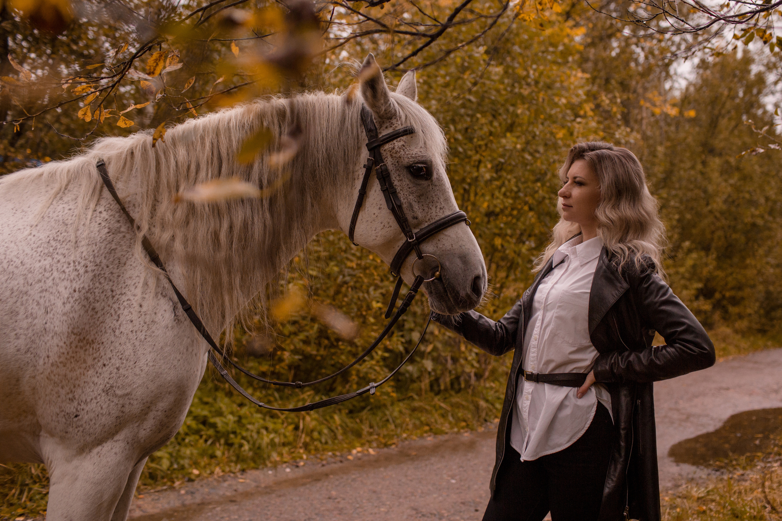 Фотосессия осень с лошадью в парке