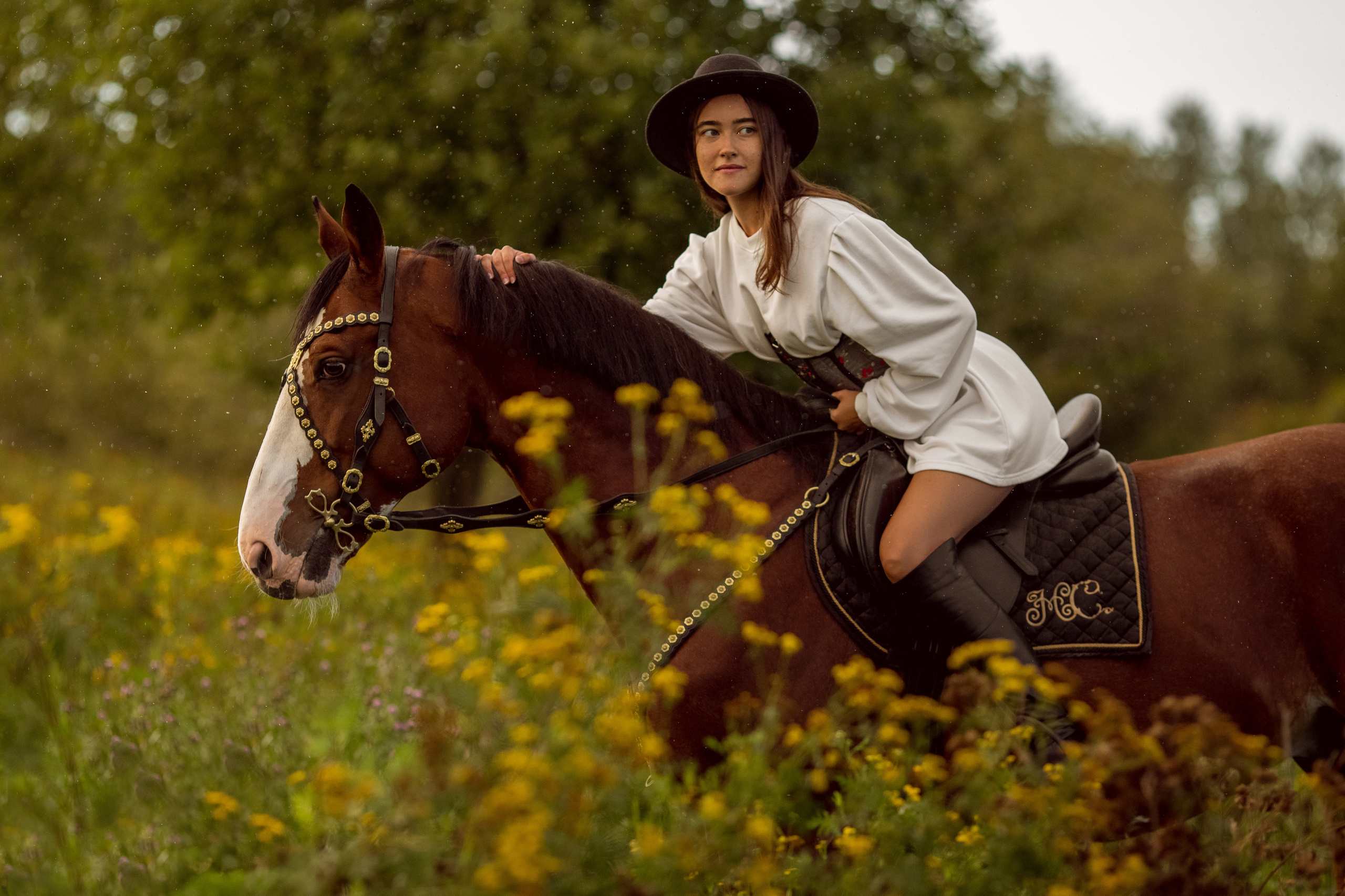 Фотосессия с лошадью в движении