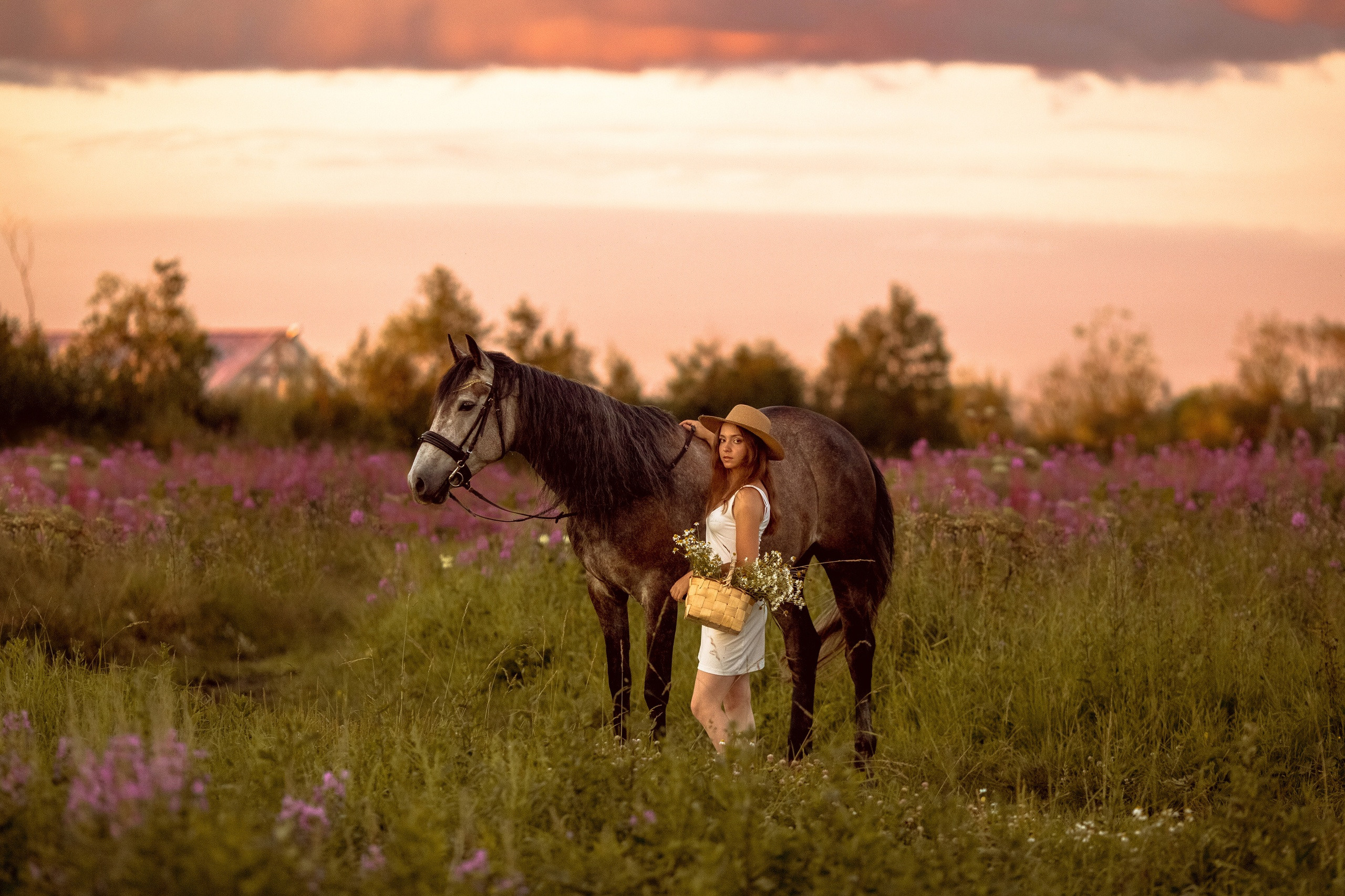 Фотосессии с лошадьми в Санкт-Петербурге