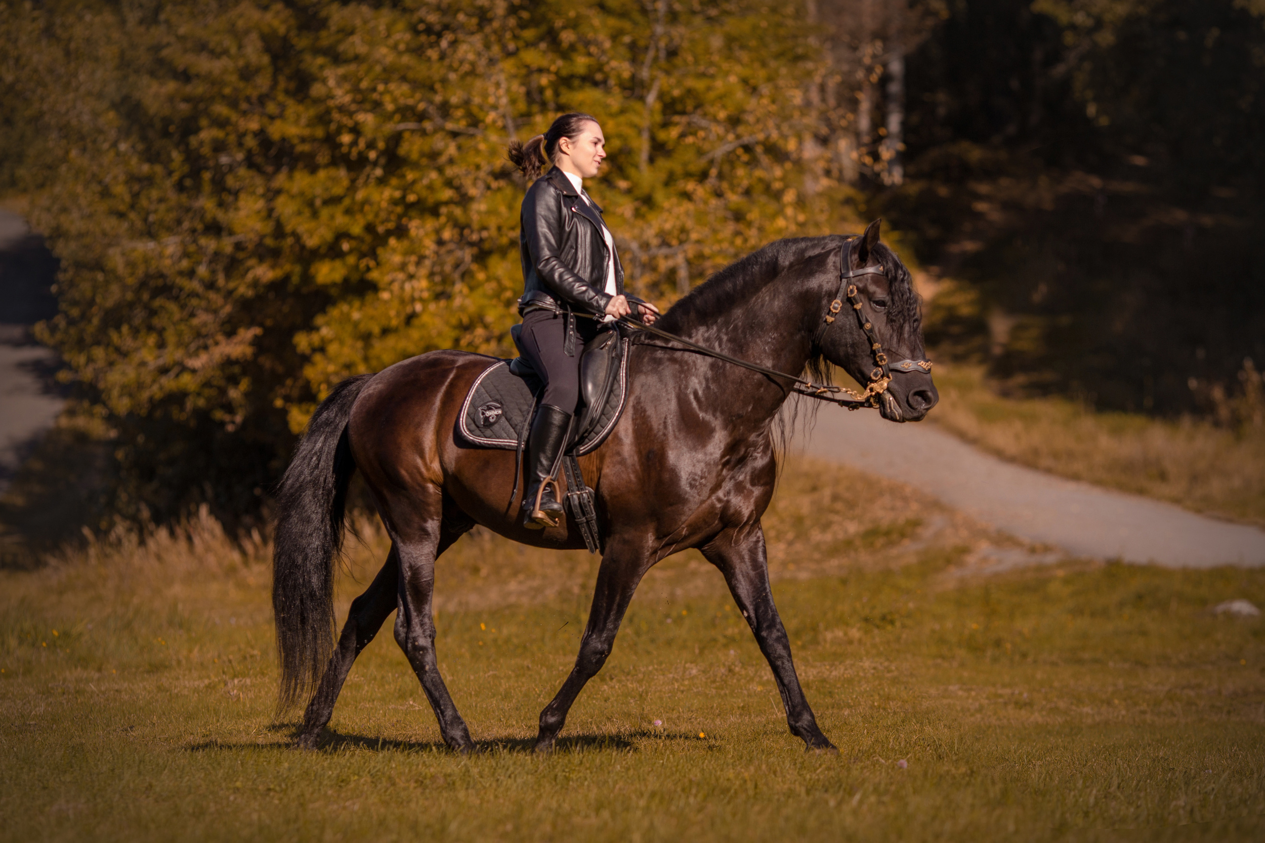 Фотосессия с андалузом осенью