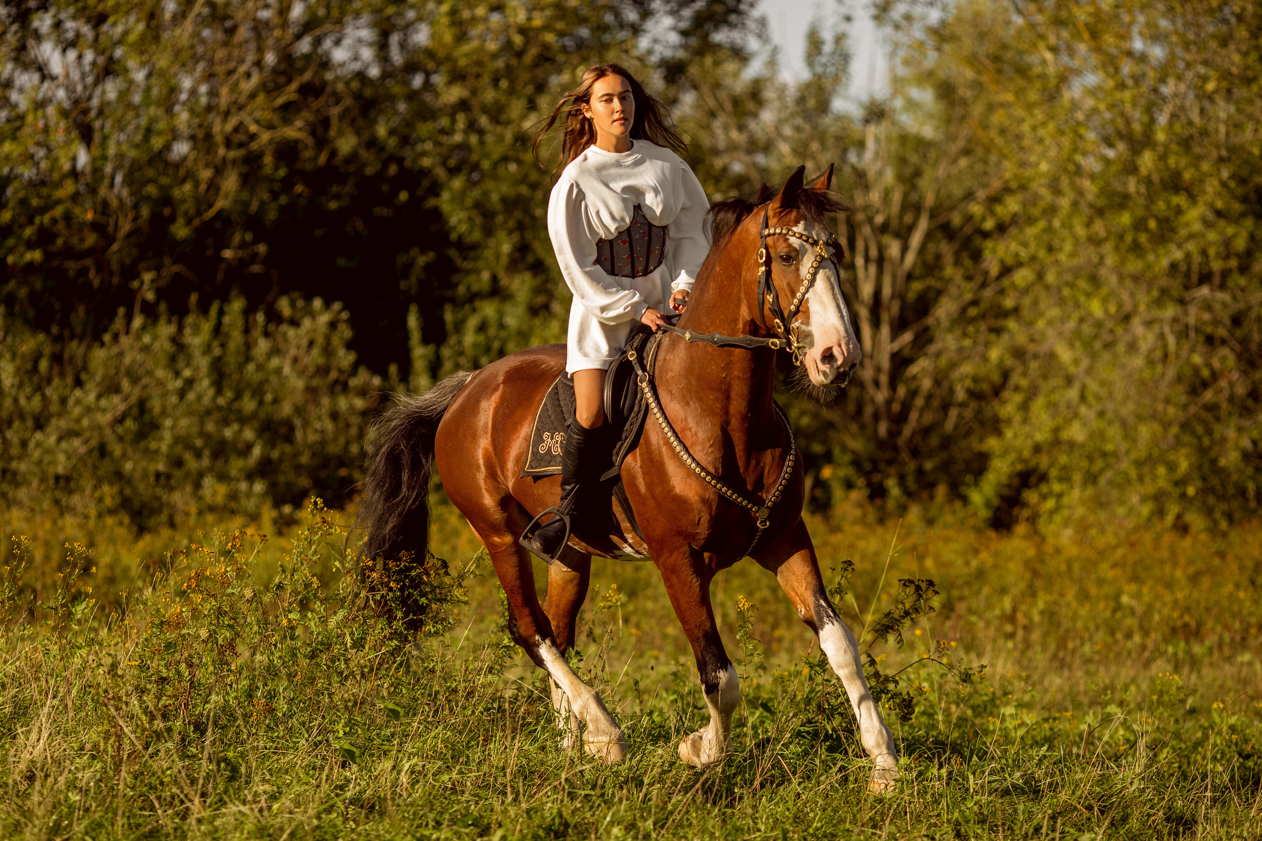 Фотосессия с лошадью в движении