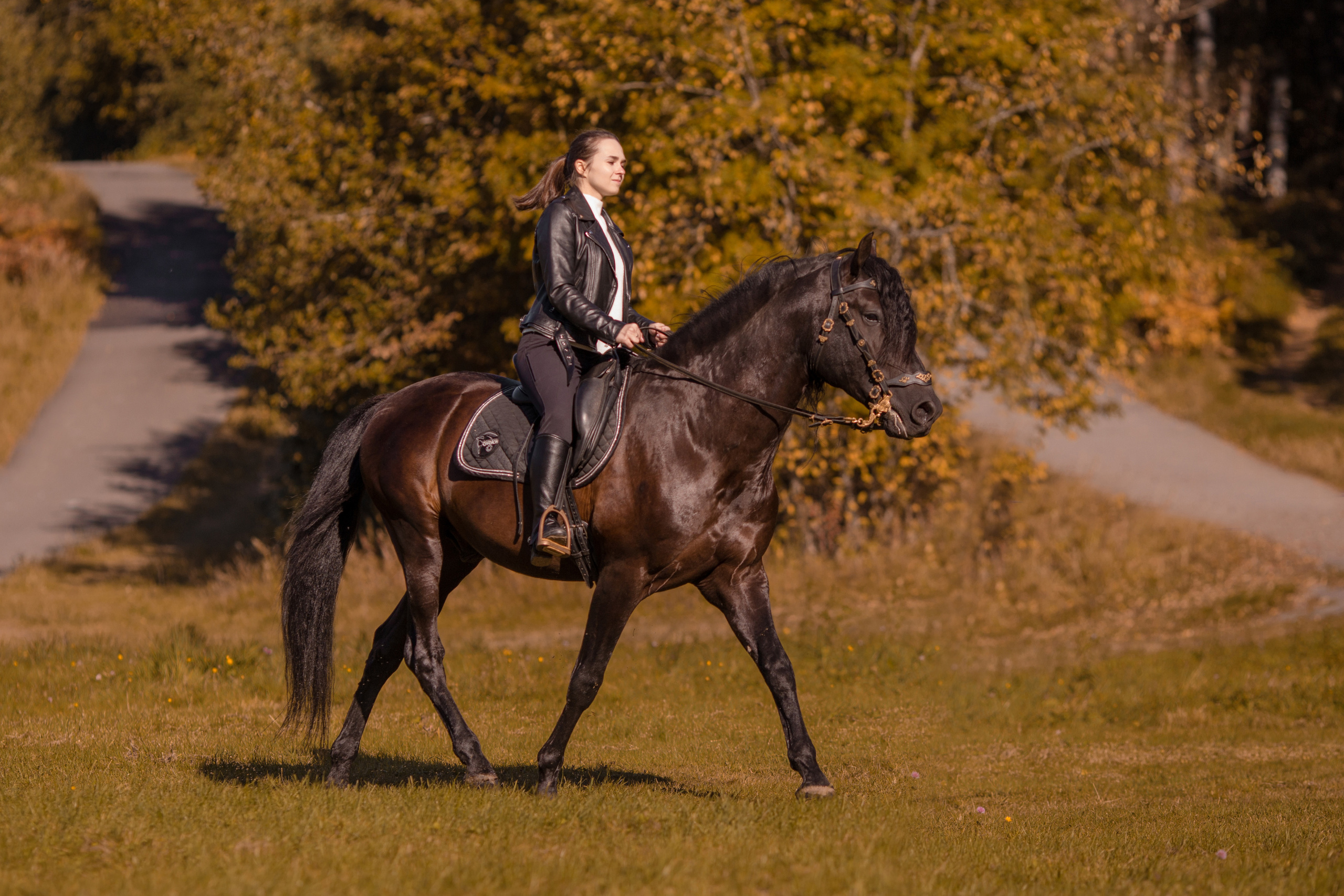 Фотосессия с андалузом осенью