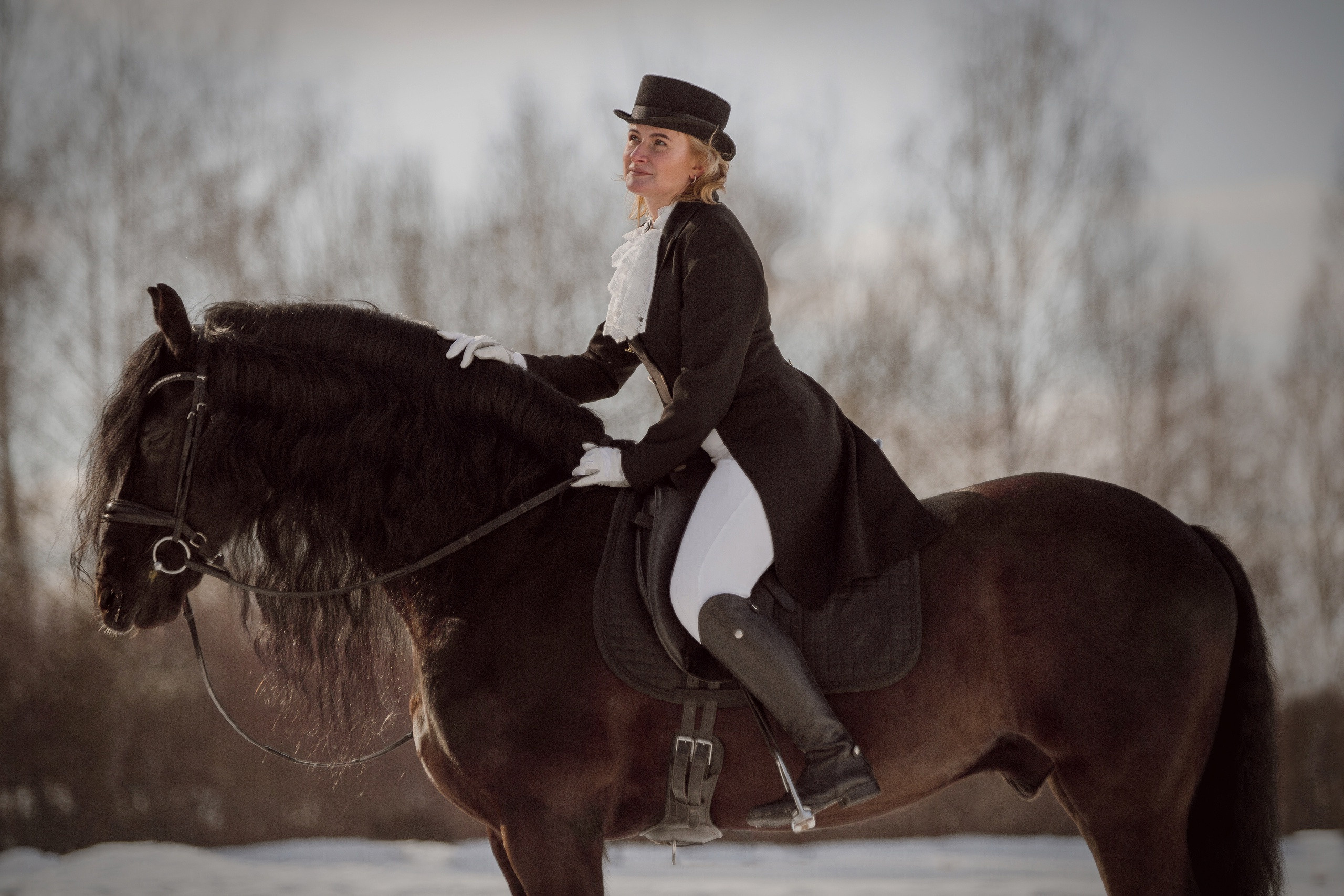 Съёмка с фризской лошадью