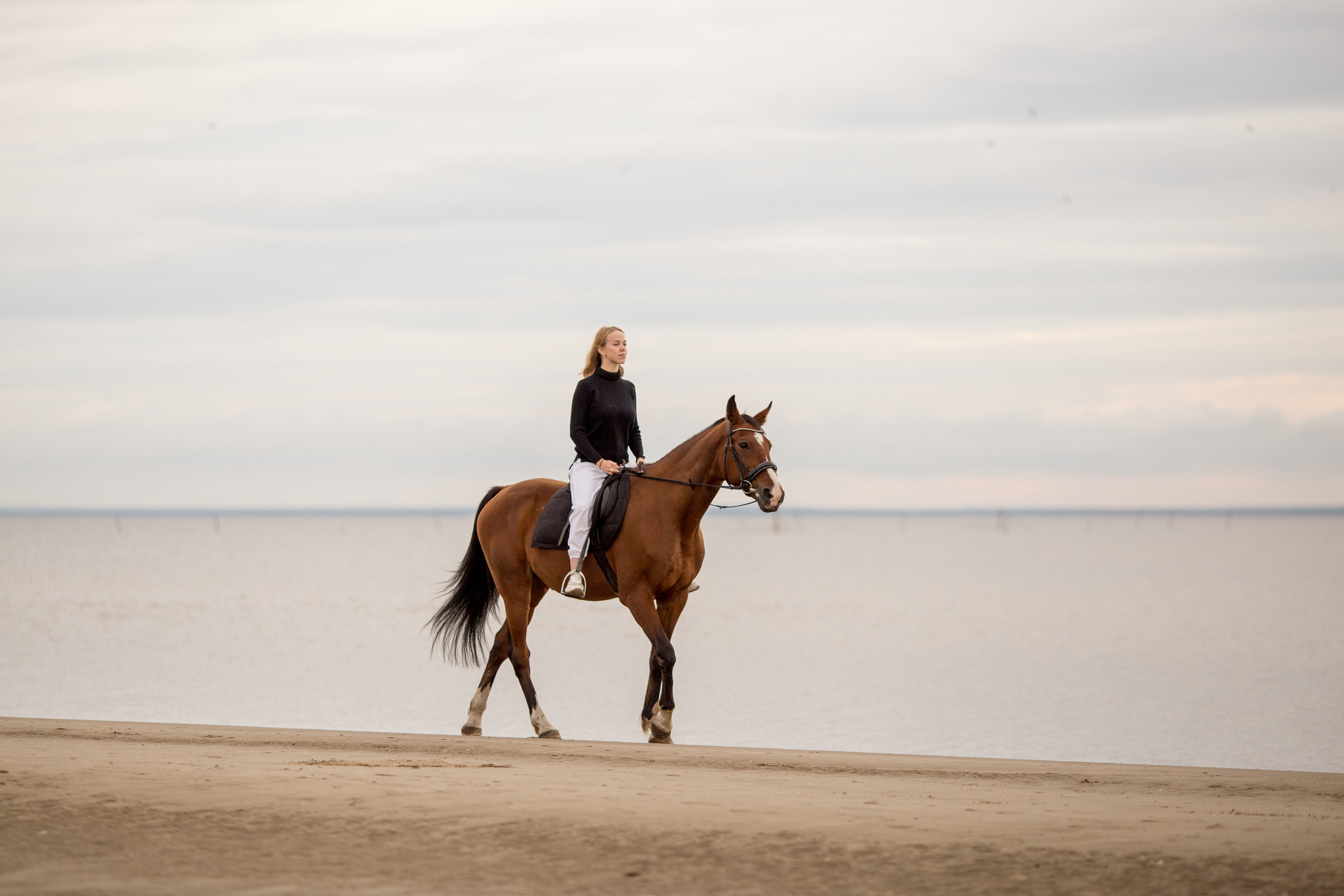 Фотосессия на море с трюковой лошадью
