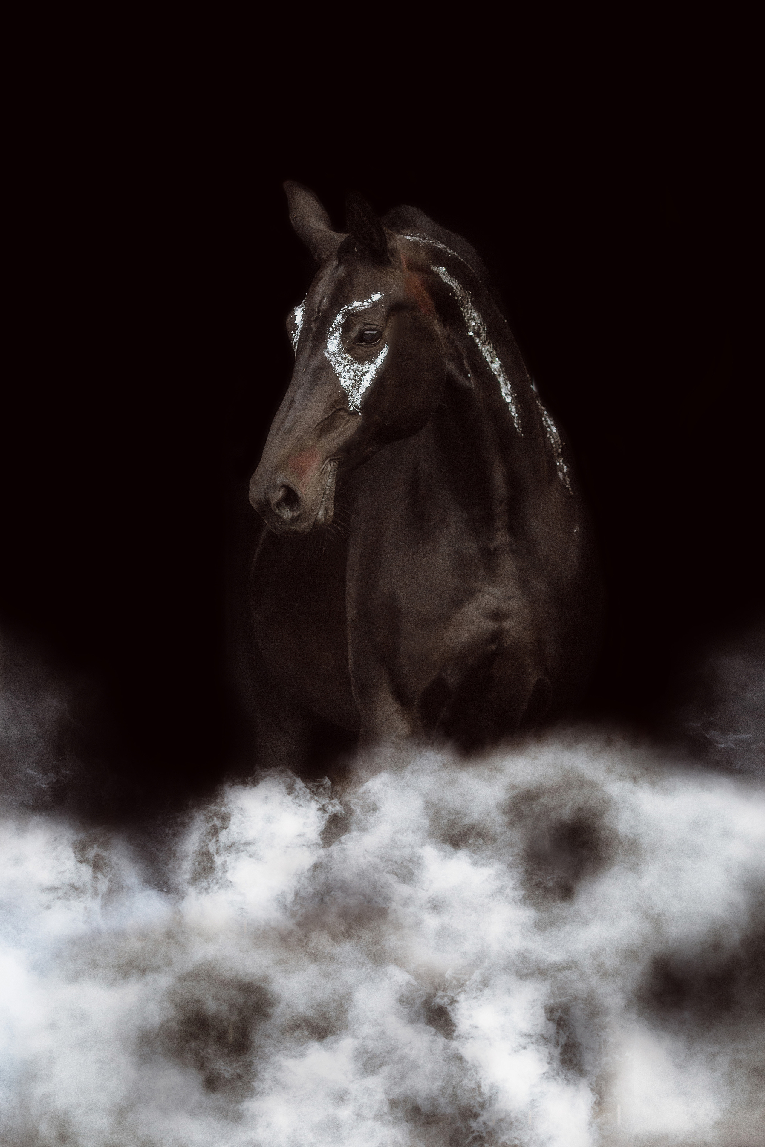 Фото лошади с поталью