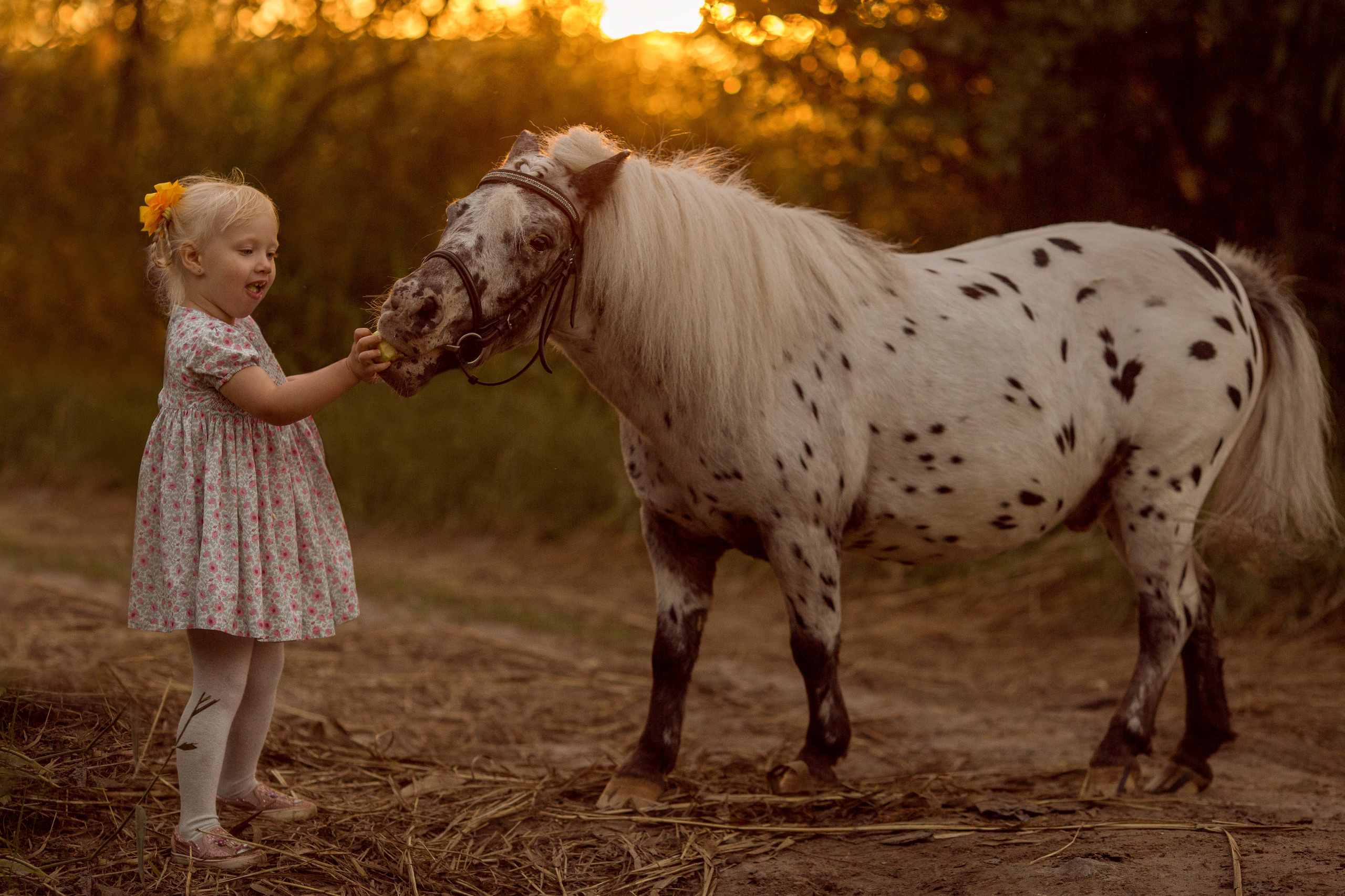 Фотосессия для ребенка 3 лет с пони