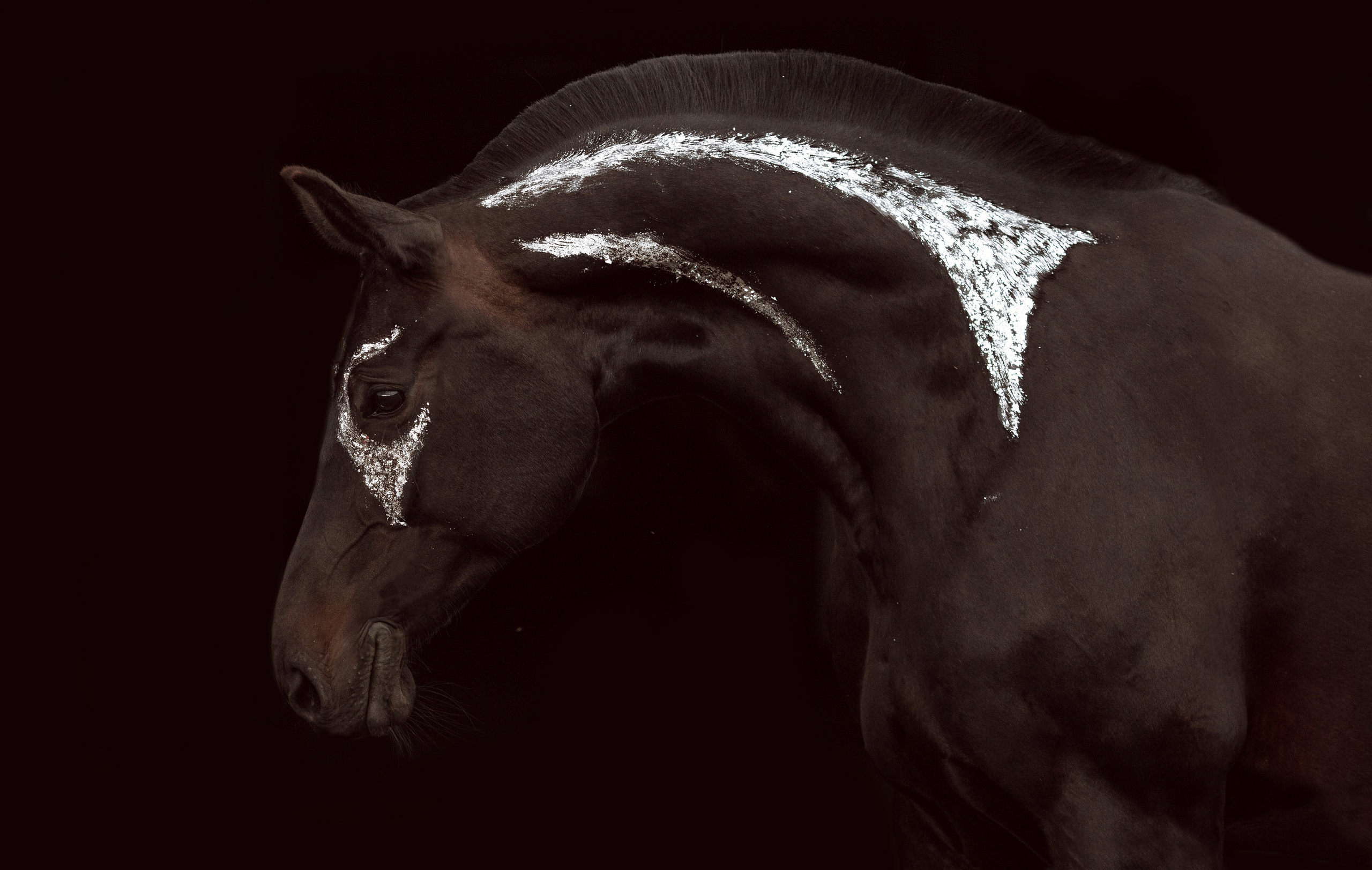 Фото лошади с поталью