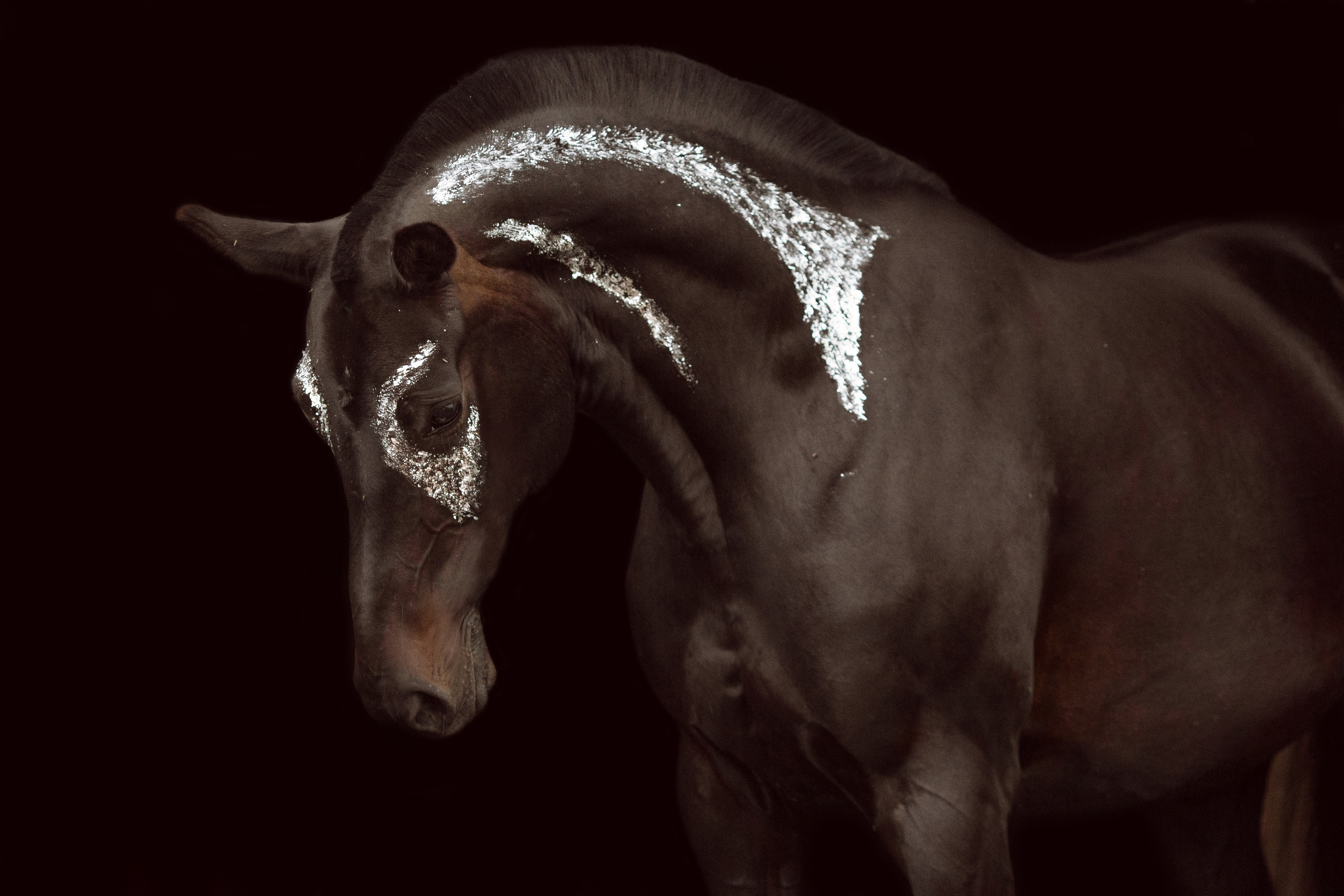 Фото лошади с поталью