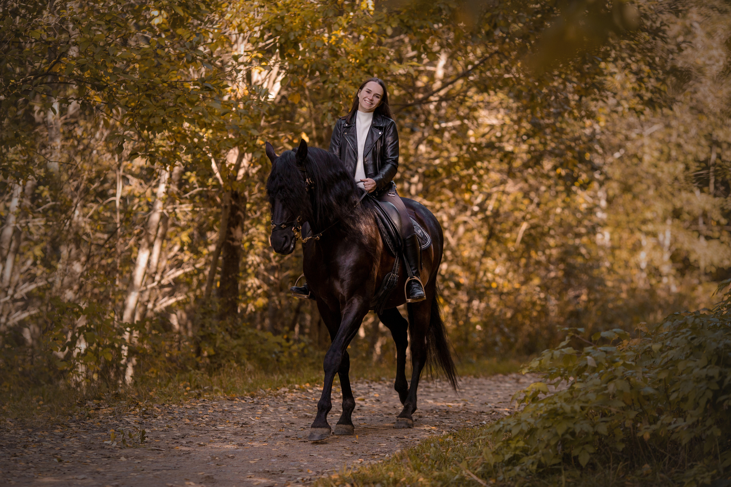 Фотосессия с андалузом осенью
