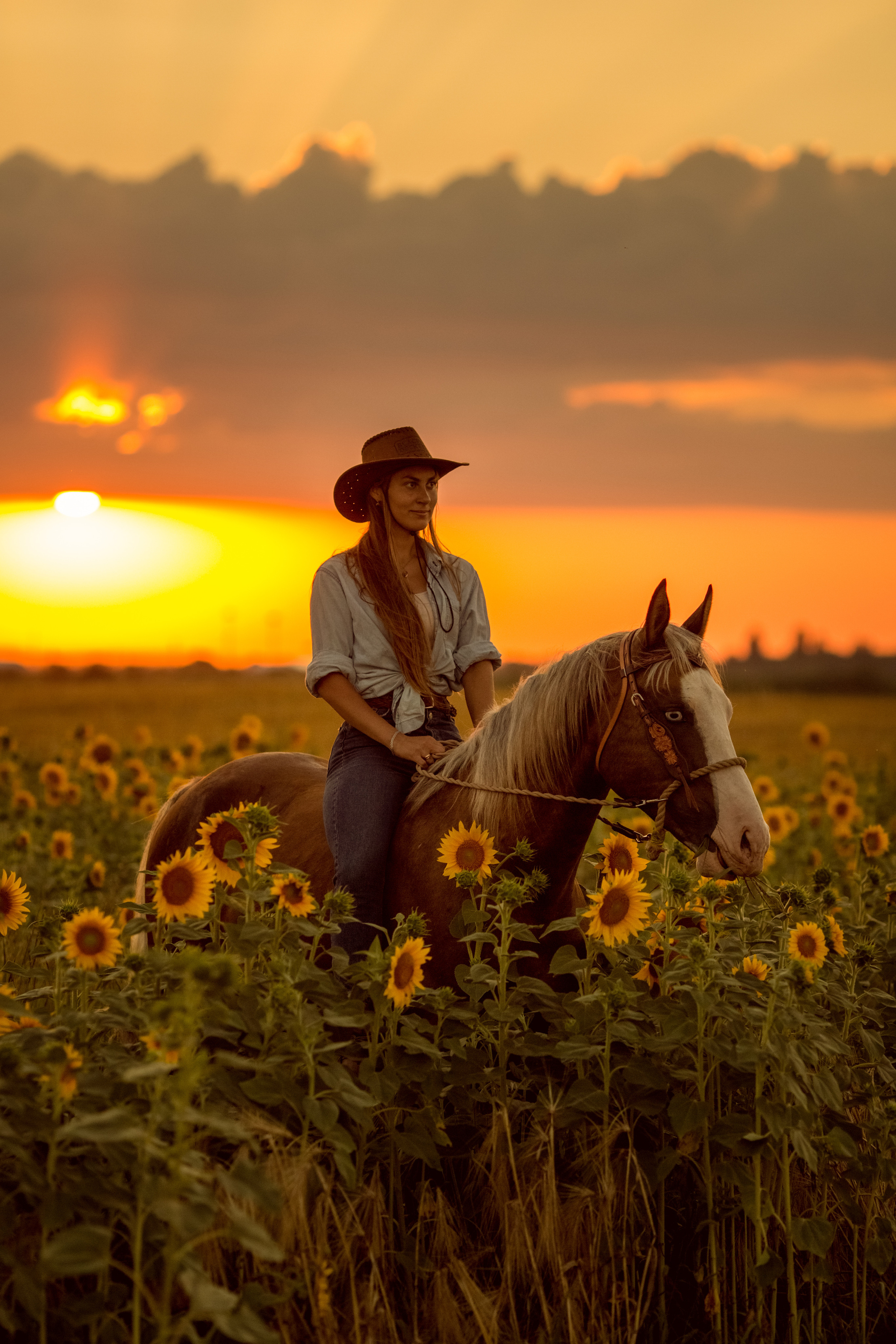 Фотосессия с лошадью на закате