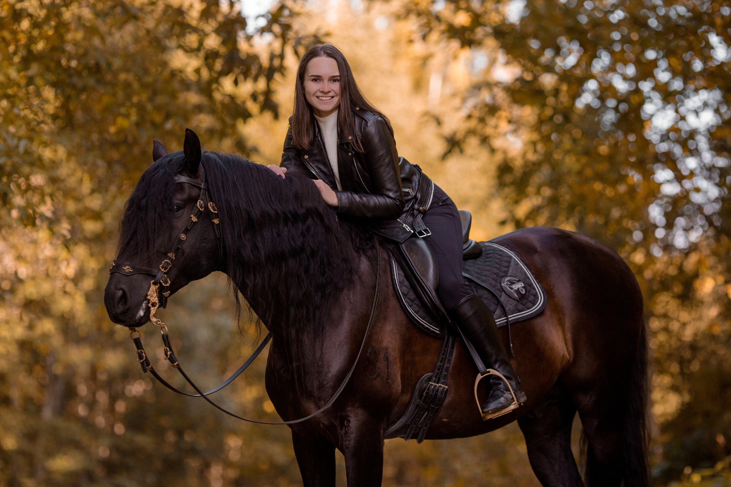 Фотосессия с андалузом осенью