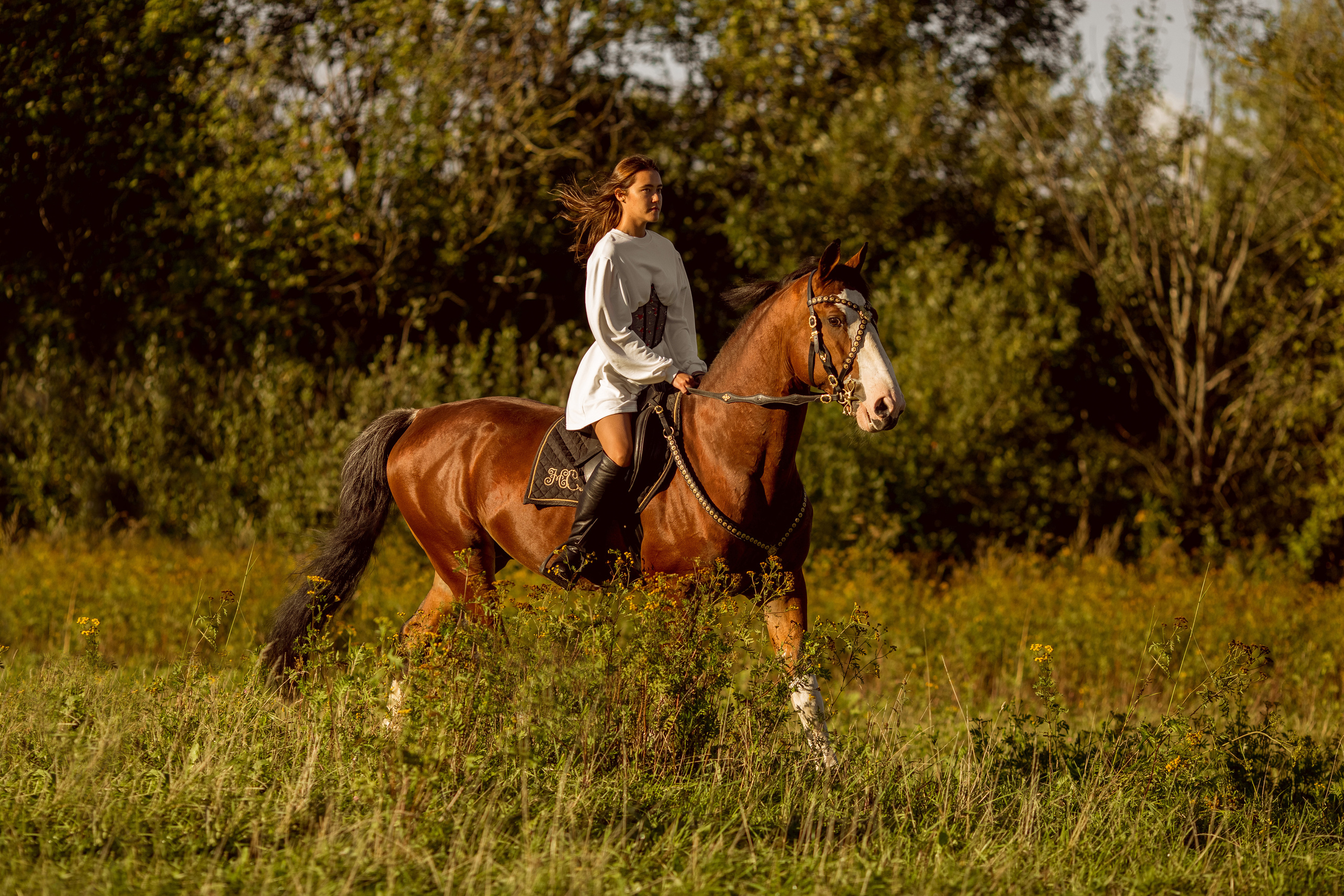 Фотосессия с лошадью в движении