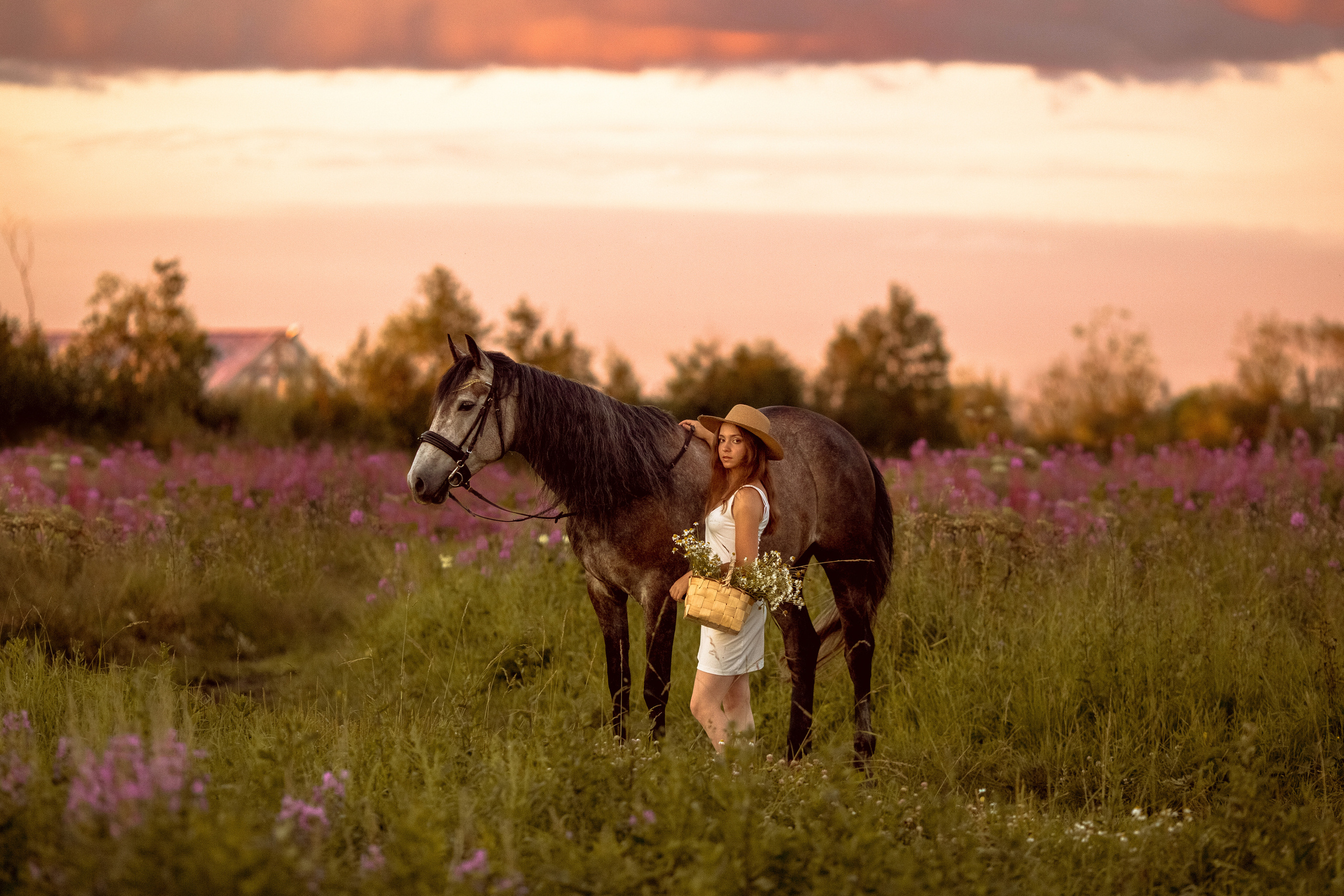 Фотосессия с лошадью в поле с цветами