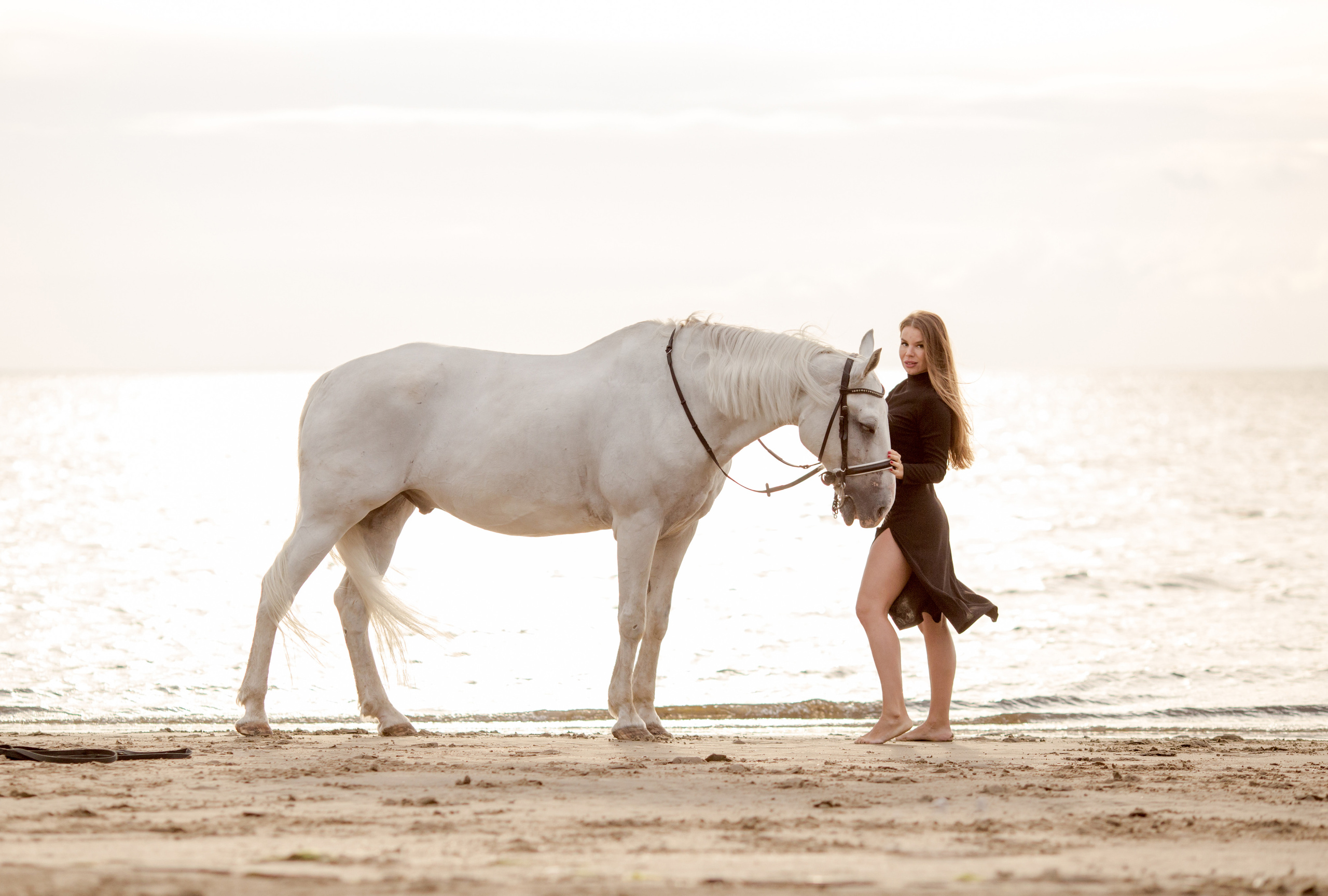 Фотосессия в цветном платье на море с конем